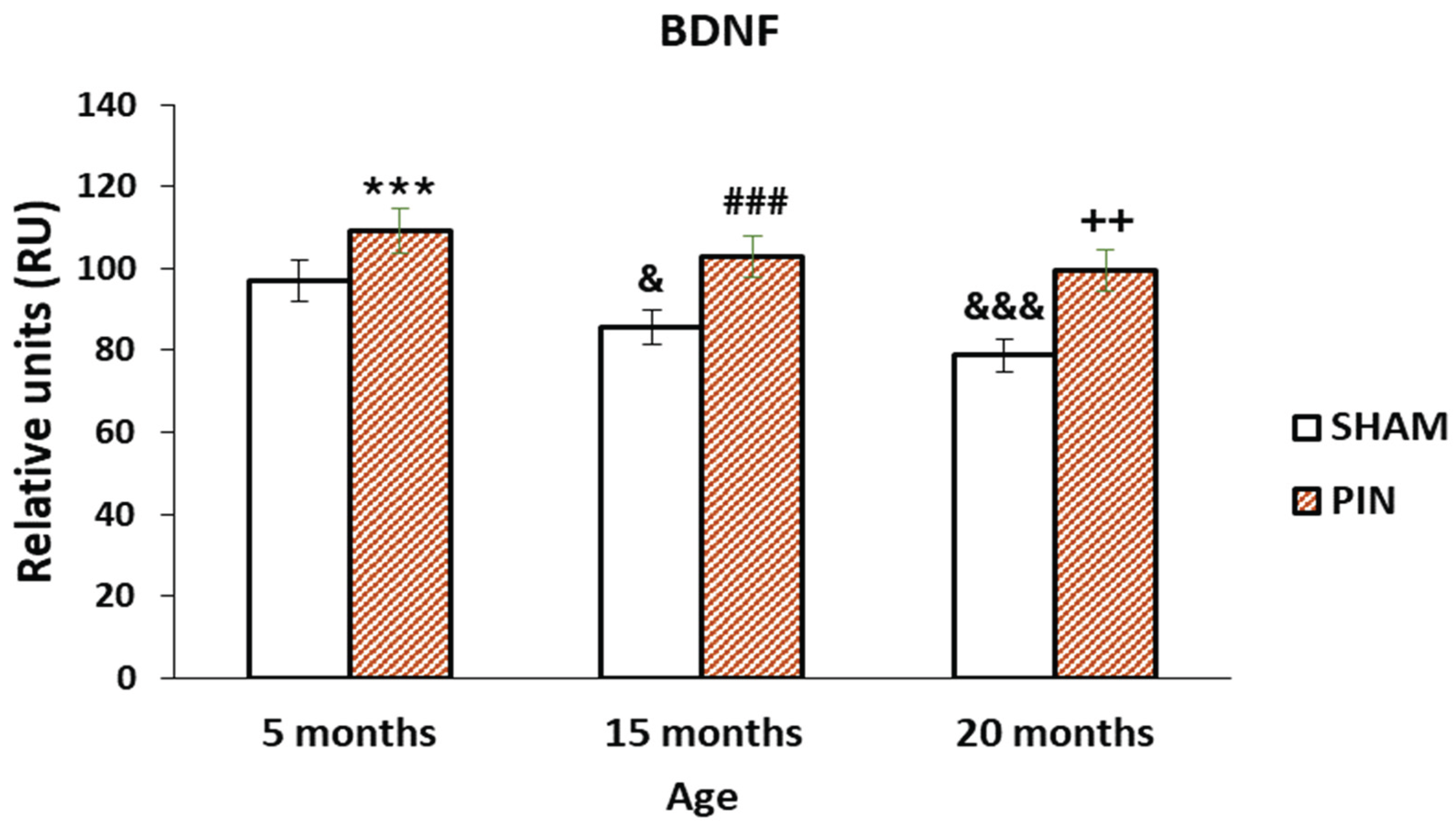 Preprints 169748 g006
