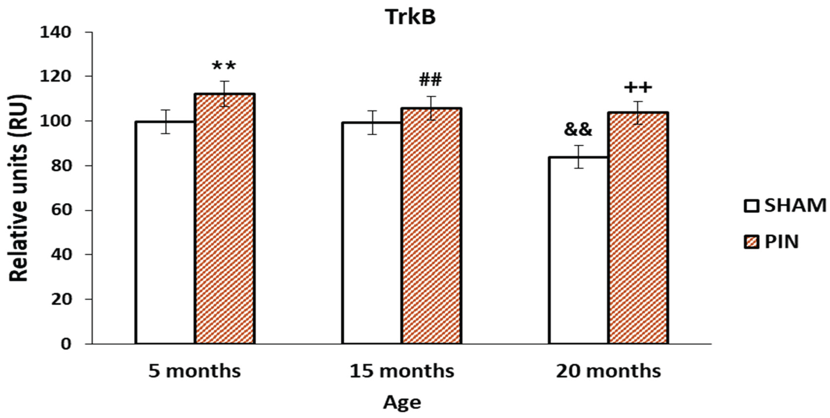 Preprints 169748 g008