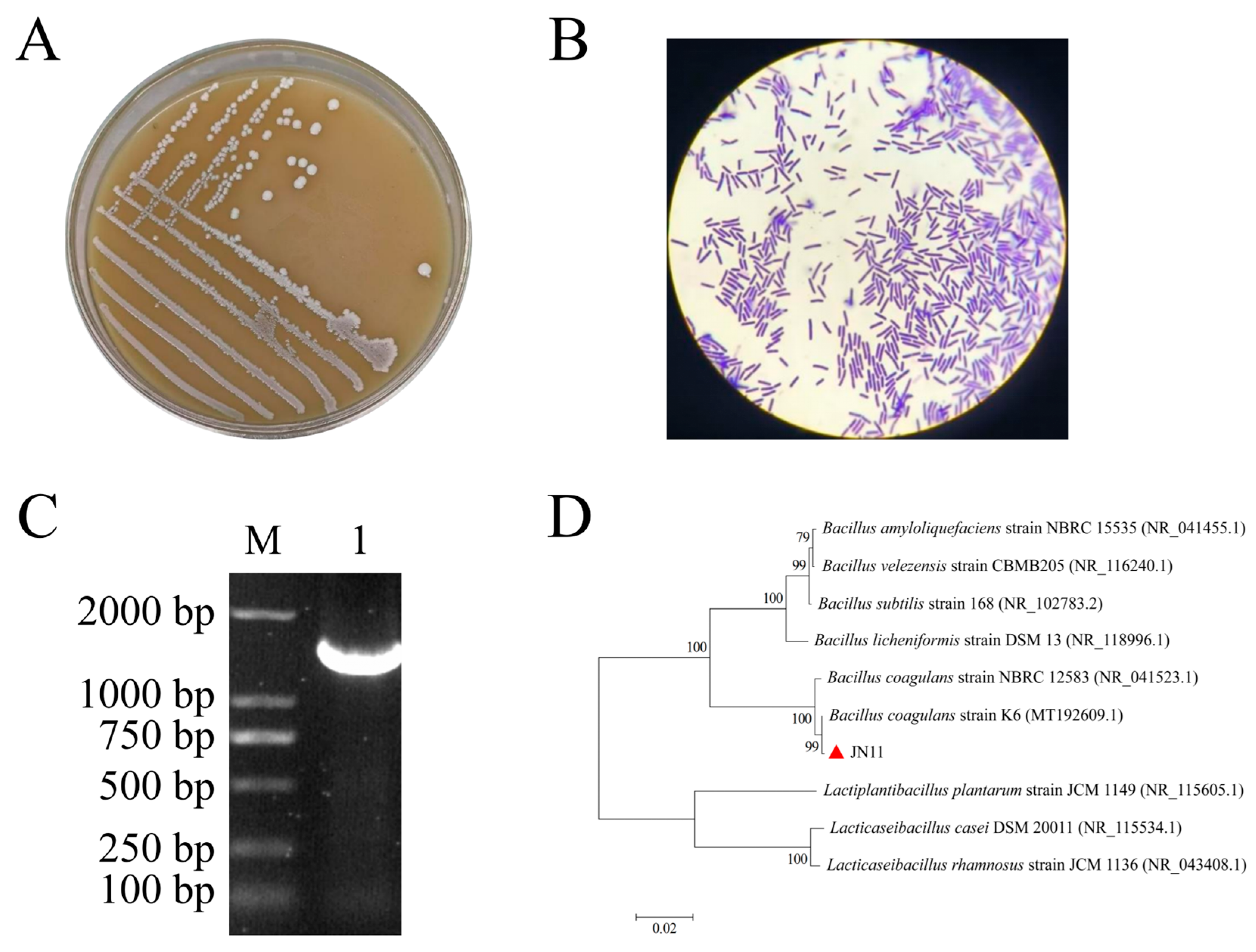 Preprints 210739 g002