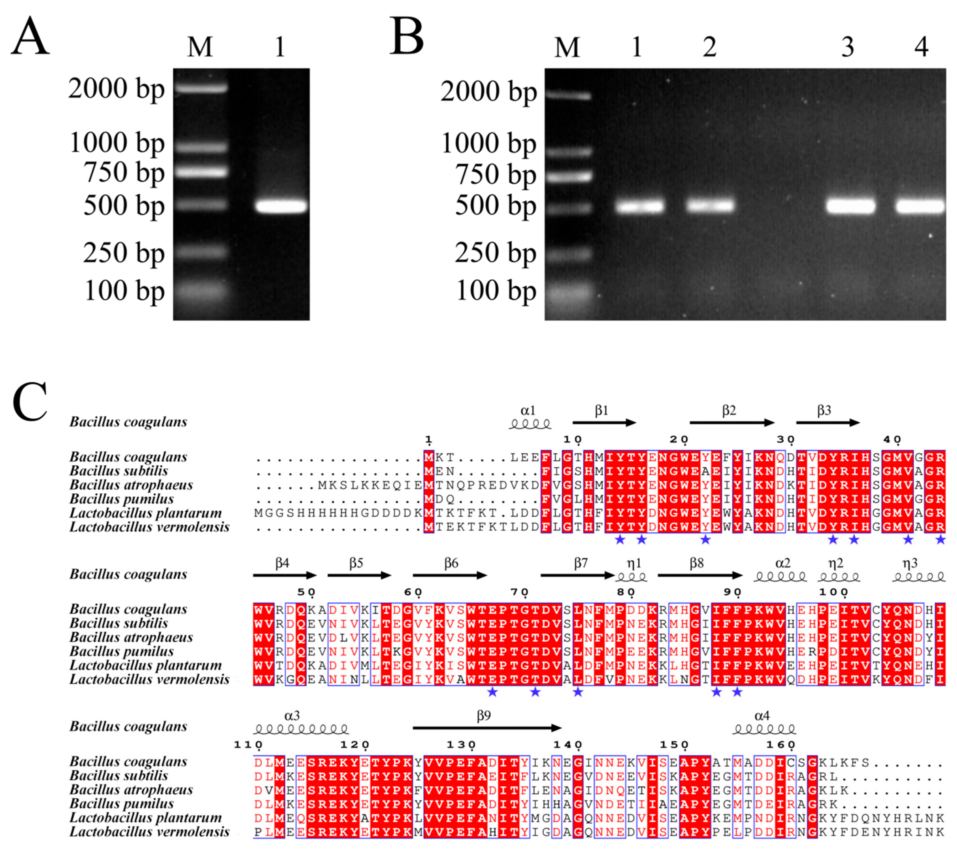 Preprints 210739 g004