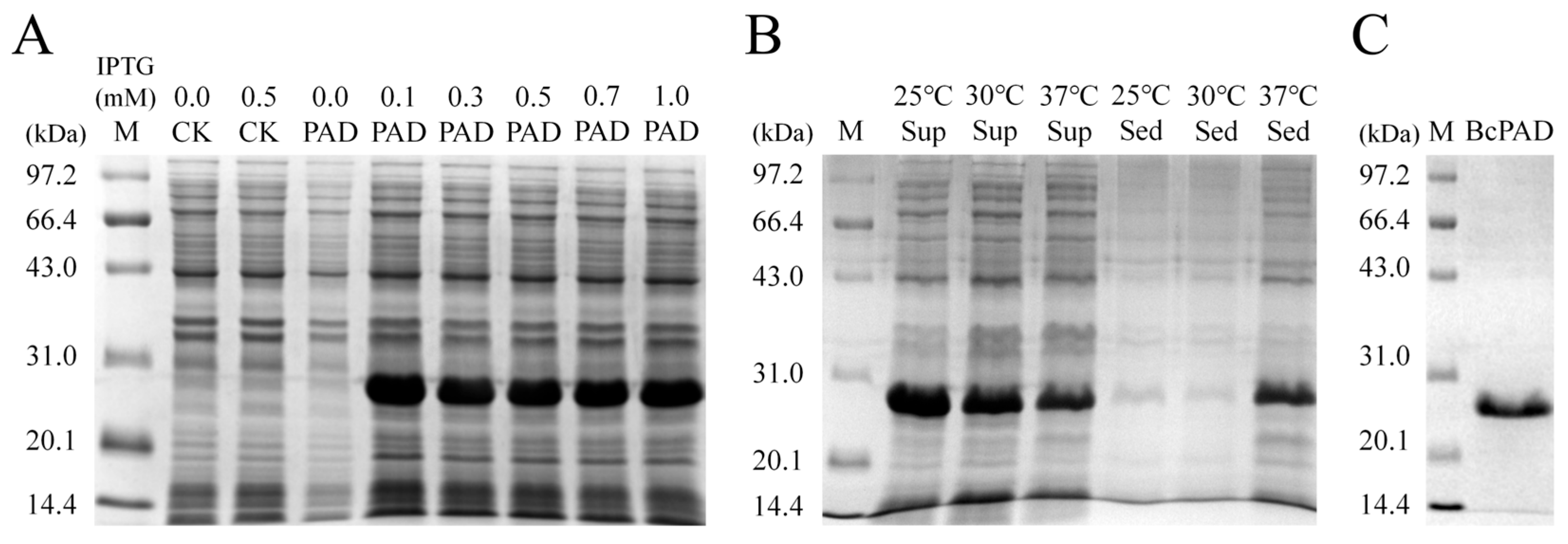 Preprints 210739 g005