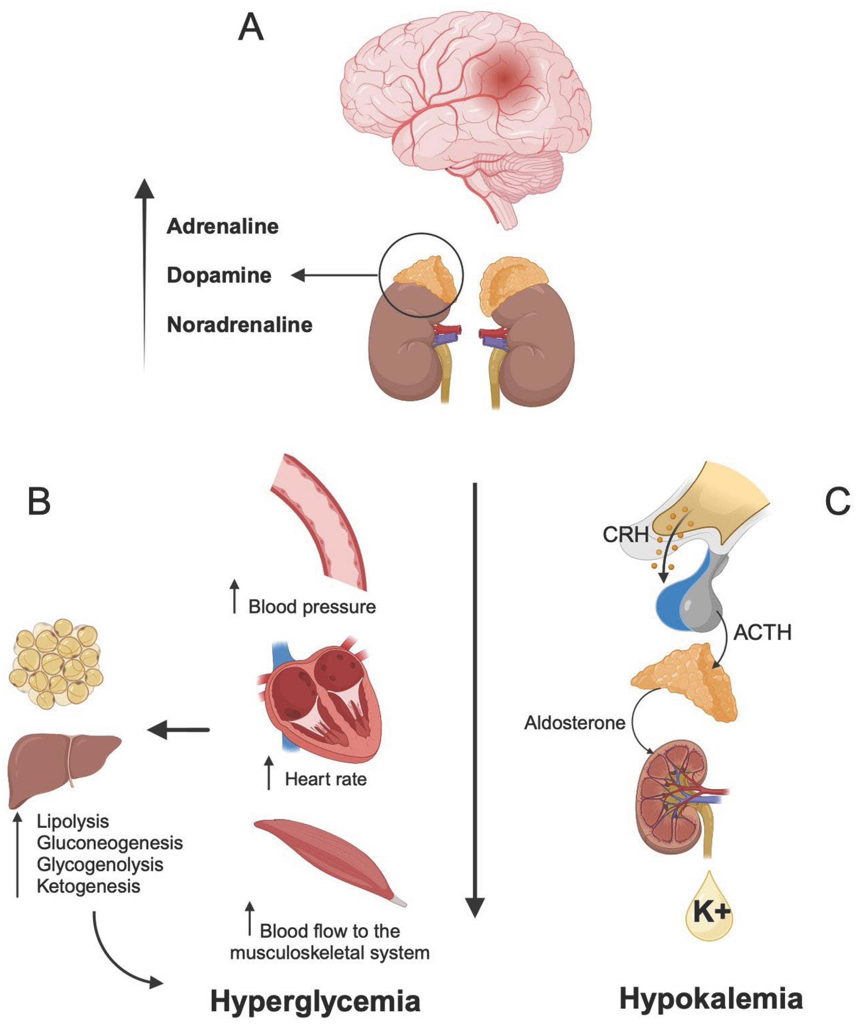 Preprints 185127 g001
