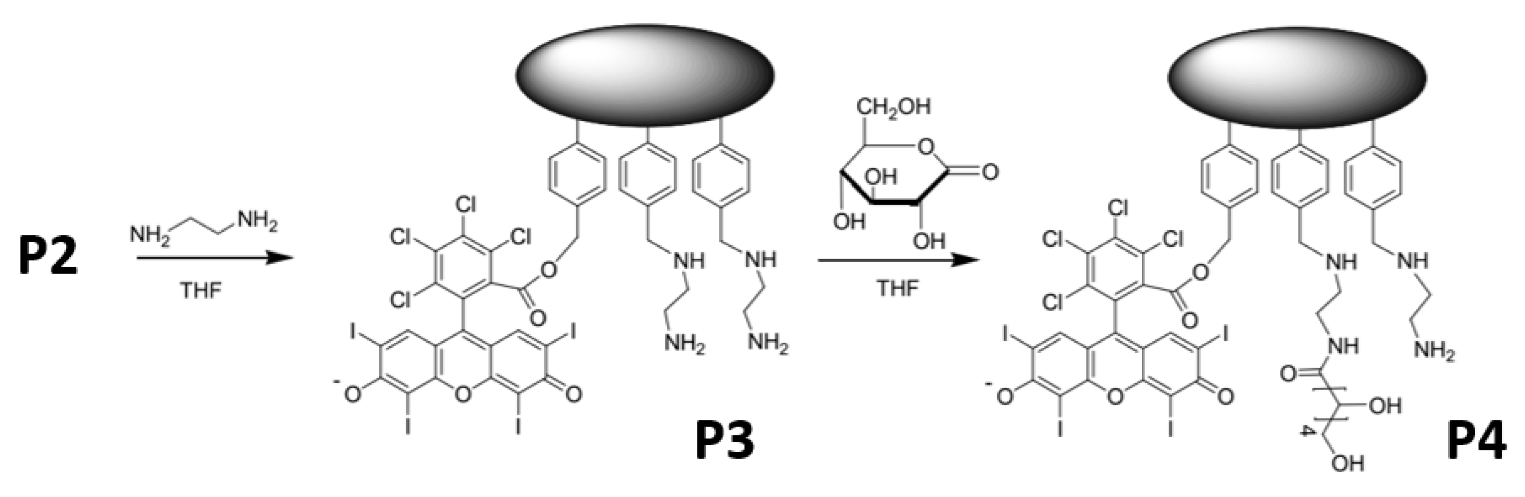 Preprints 146092 g001b