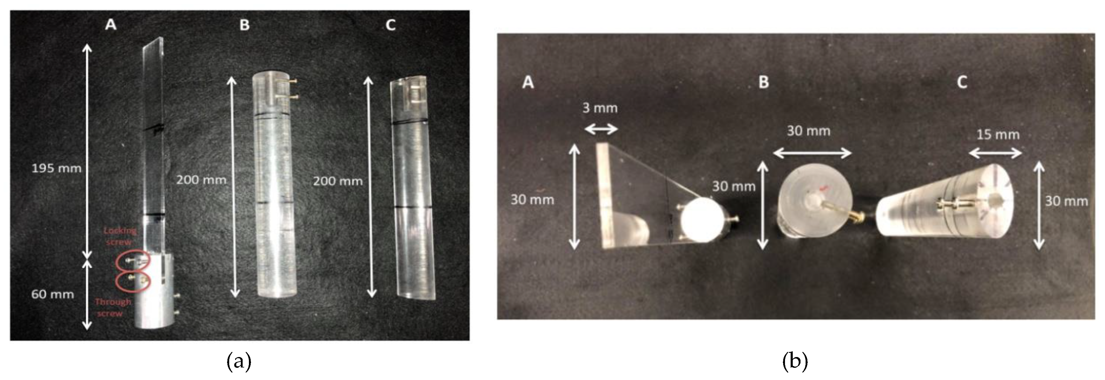 Preprints 170573 g005