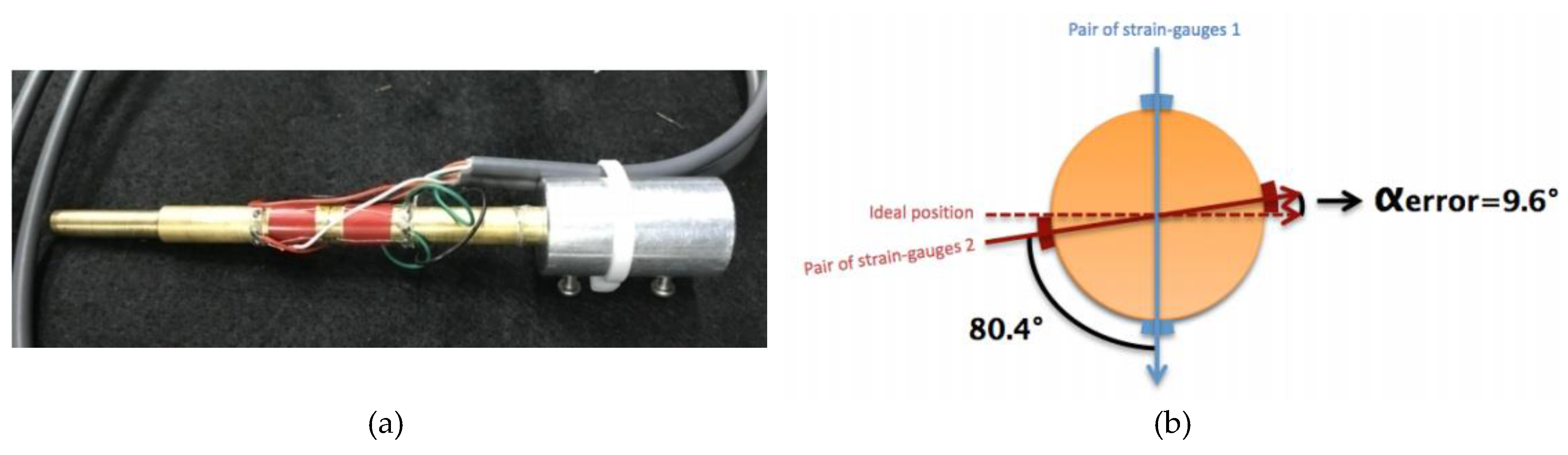 Preprints 170573 g006