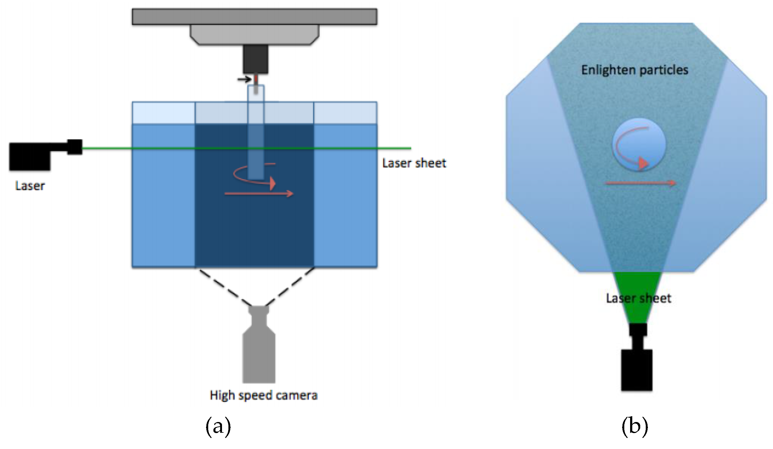 Preprints 170573 g007