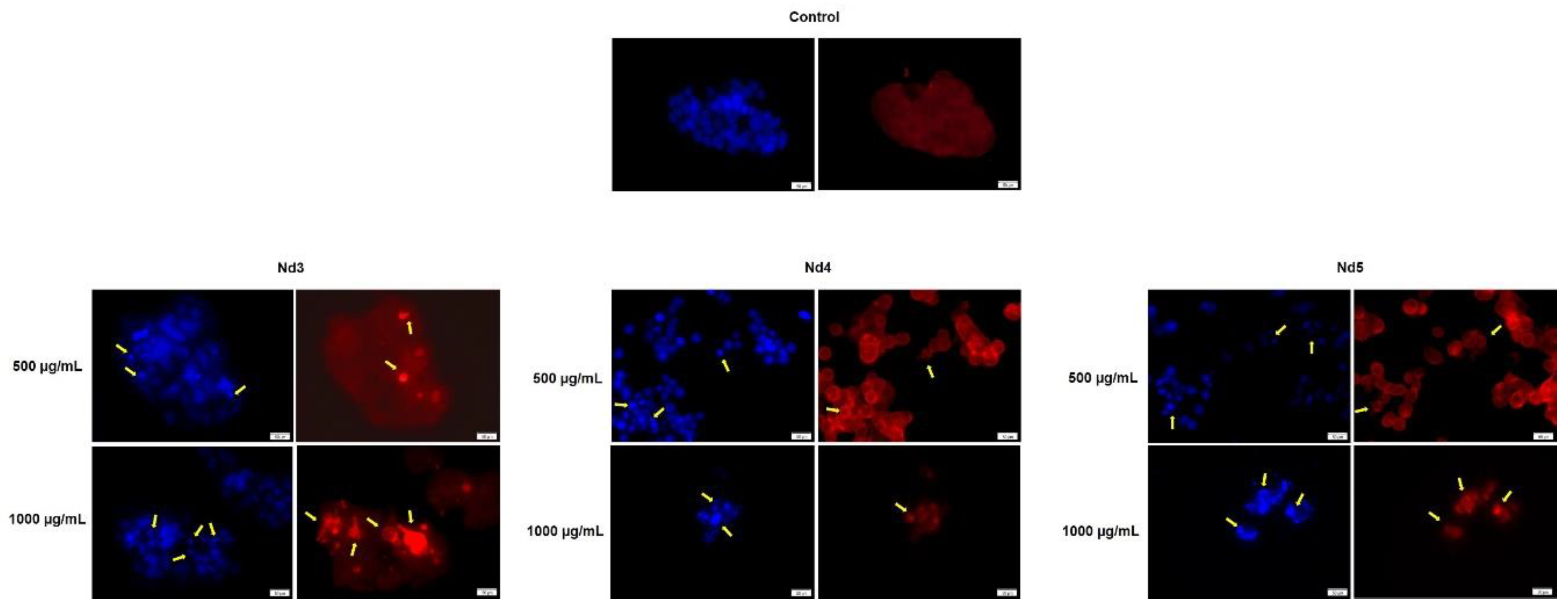 Preprints 168440 g014