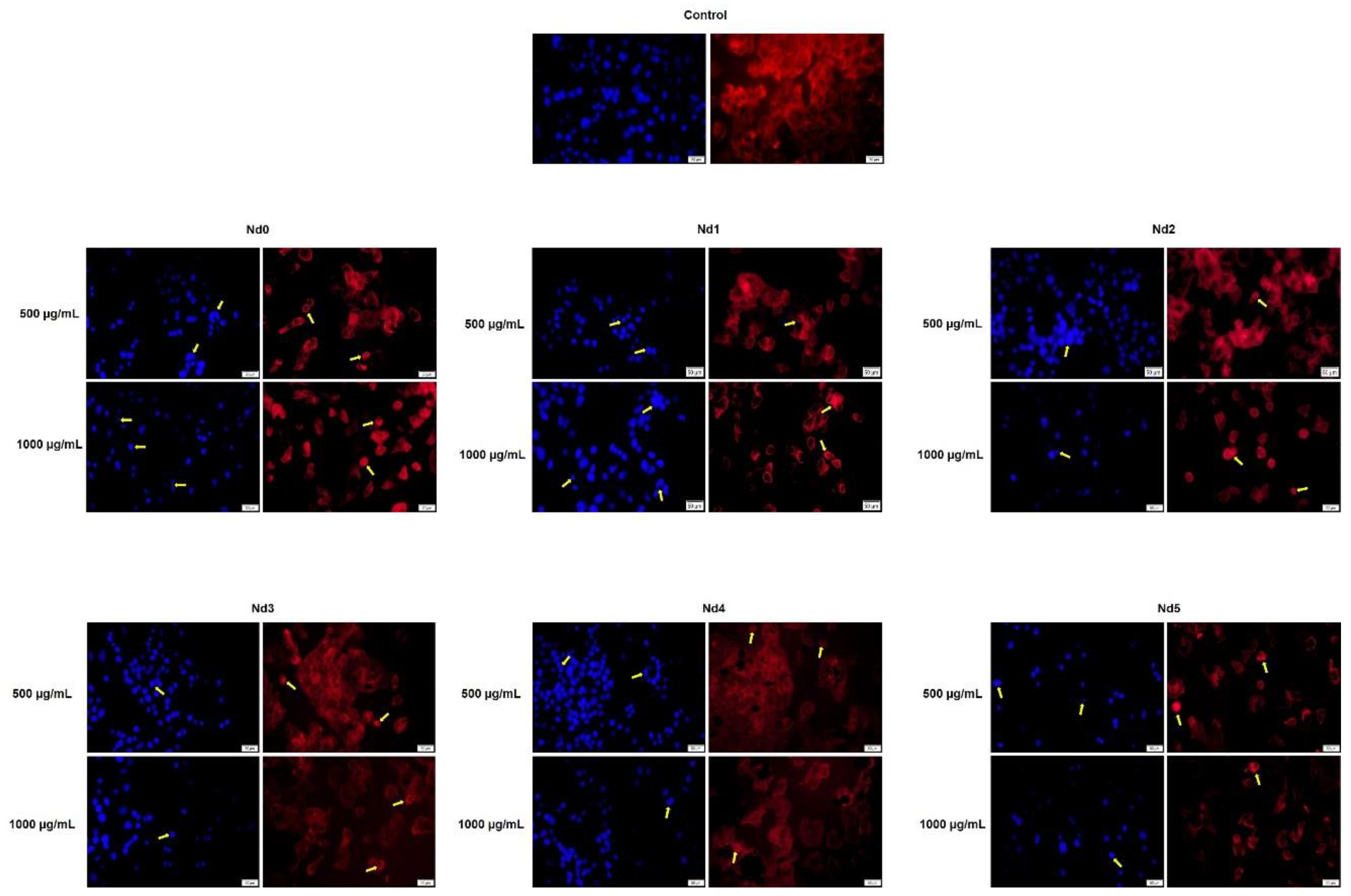 Preprints 168440 g015