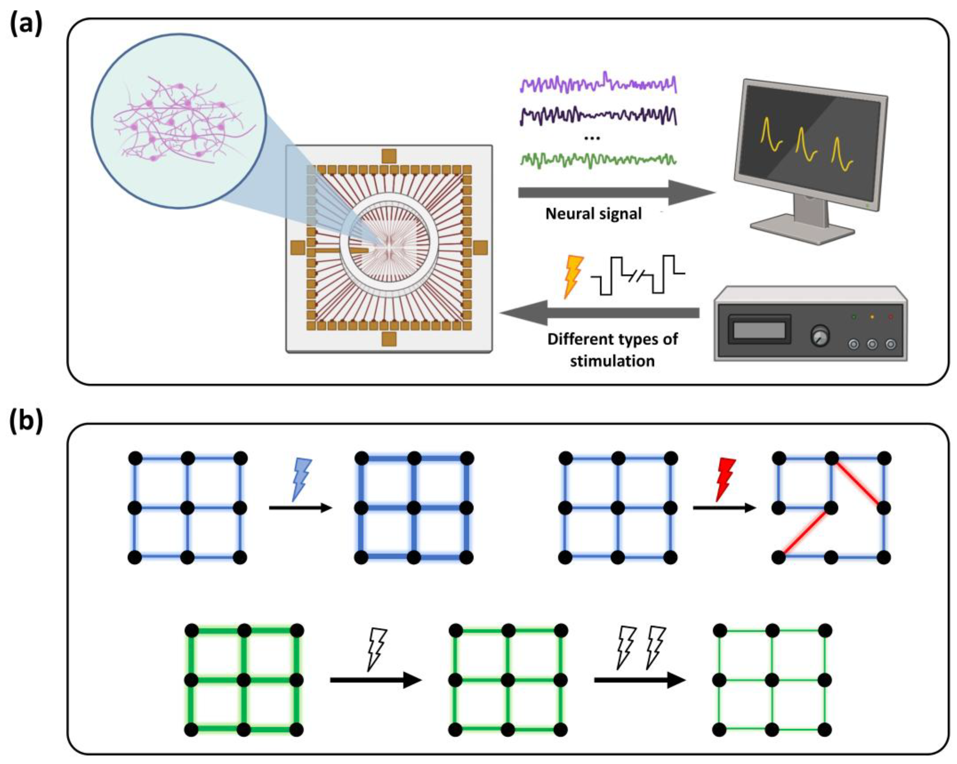 Preprints 186887 g001