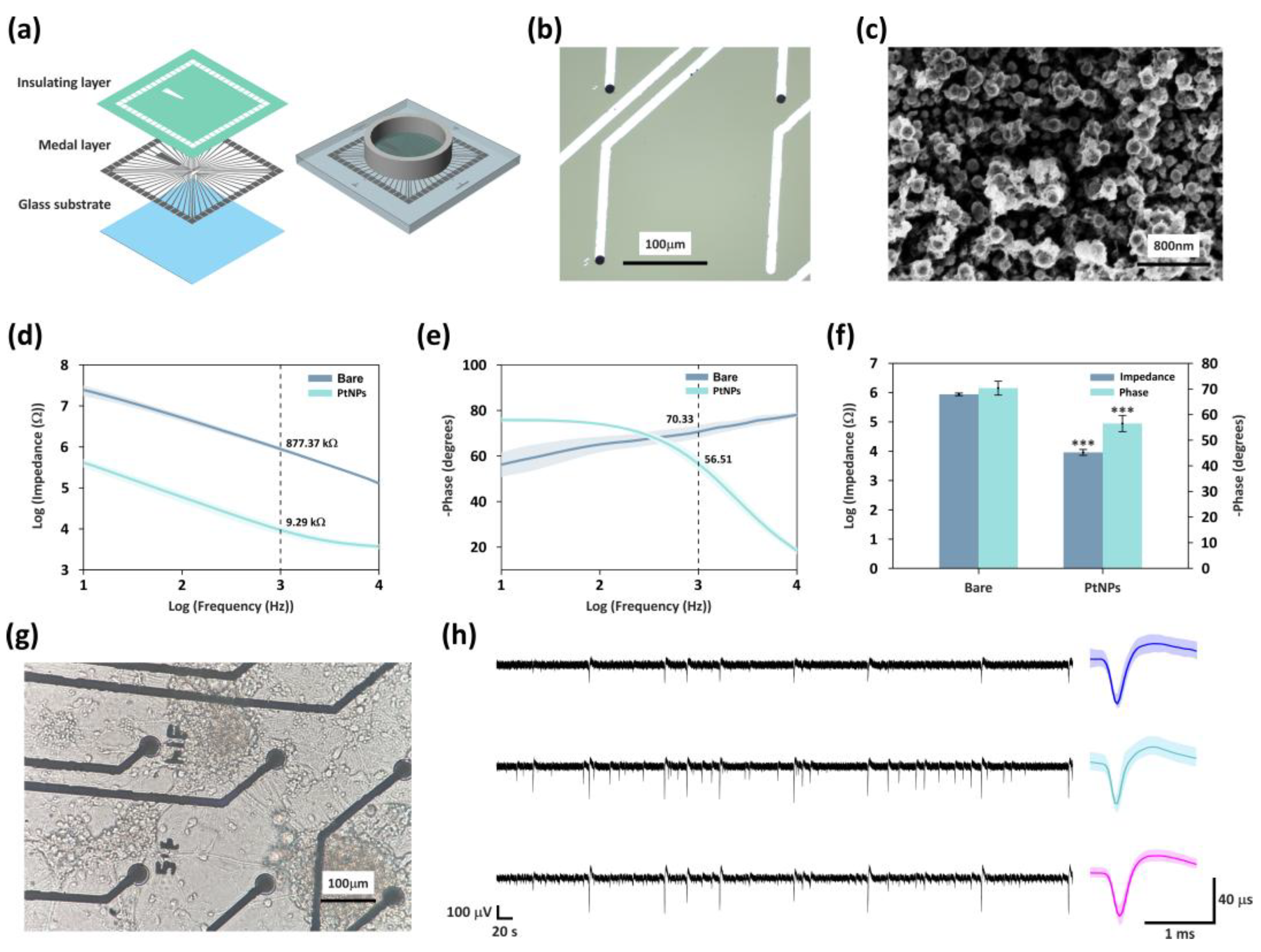 Preprints 186887 g002