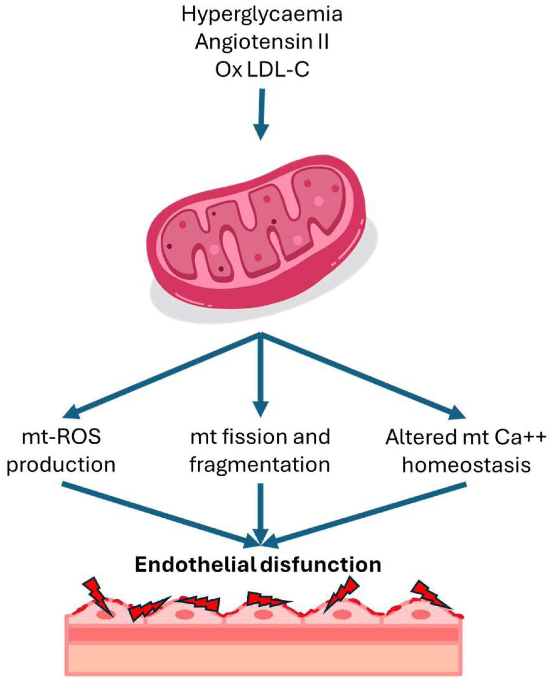 Preprints 138848 g001