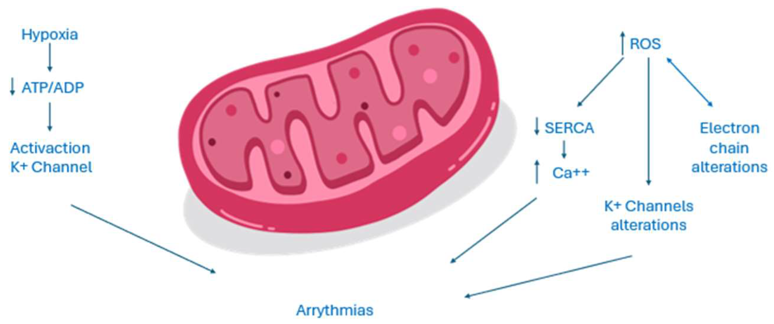 Preprints 138848 g002