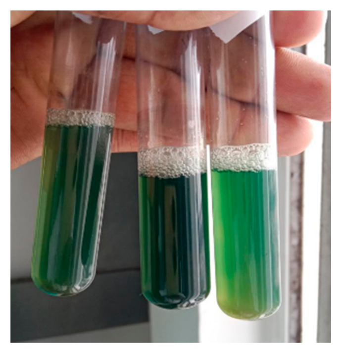 Preprints 236273 g002 Preprints 236273 g002