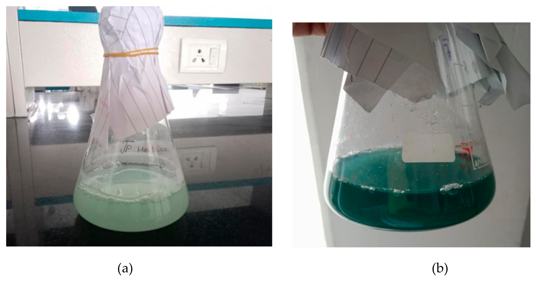 Preprints 236273 g003 Preprints 236273 g003