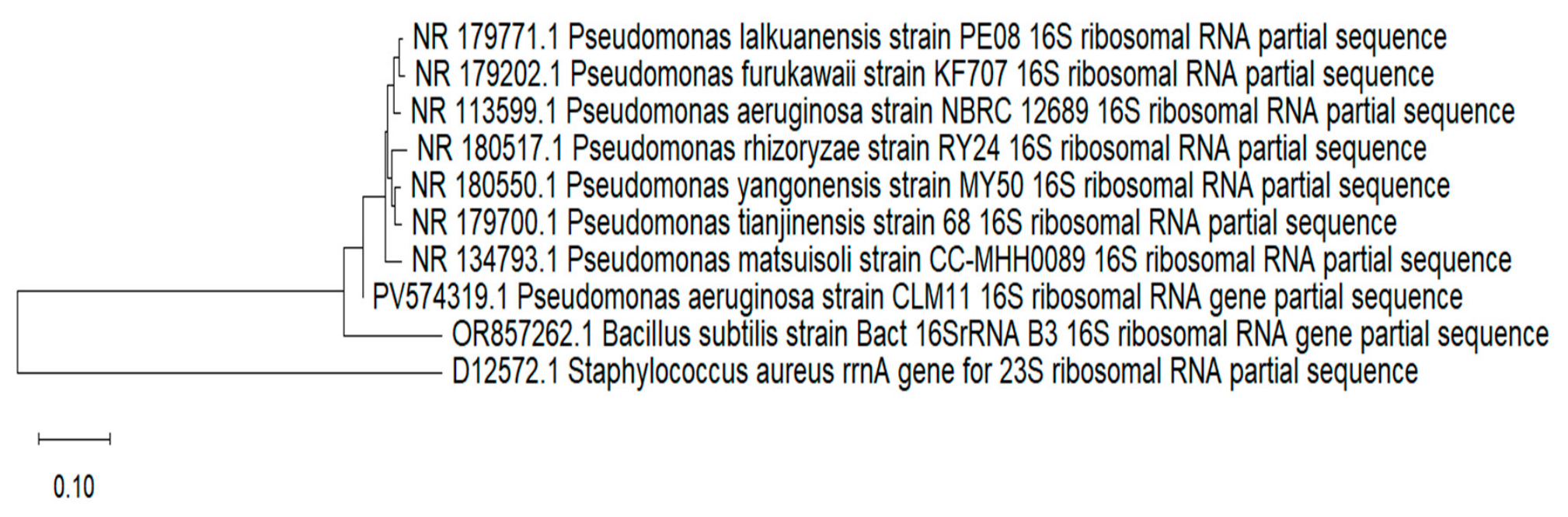 Preprints 236273 g006 Preprints 236273 g006