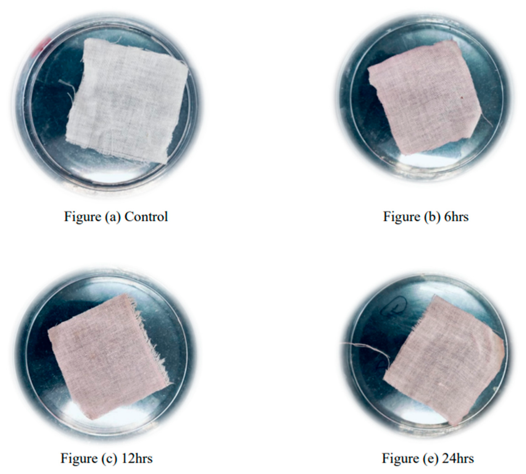 Preprints 236273 g015 Preprints 236273 g015