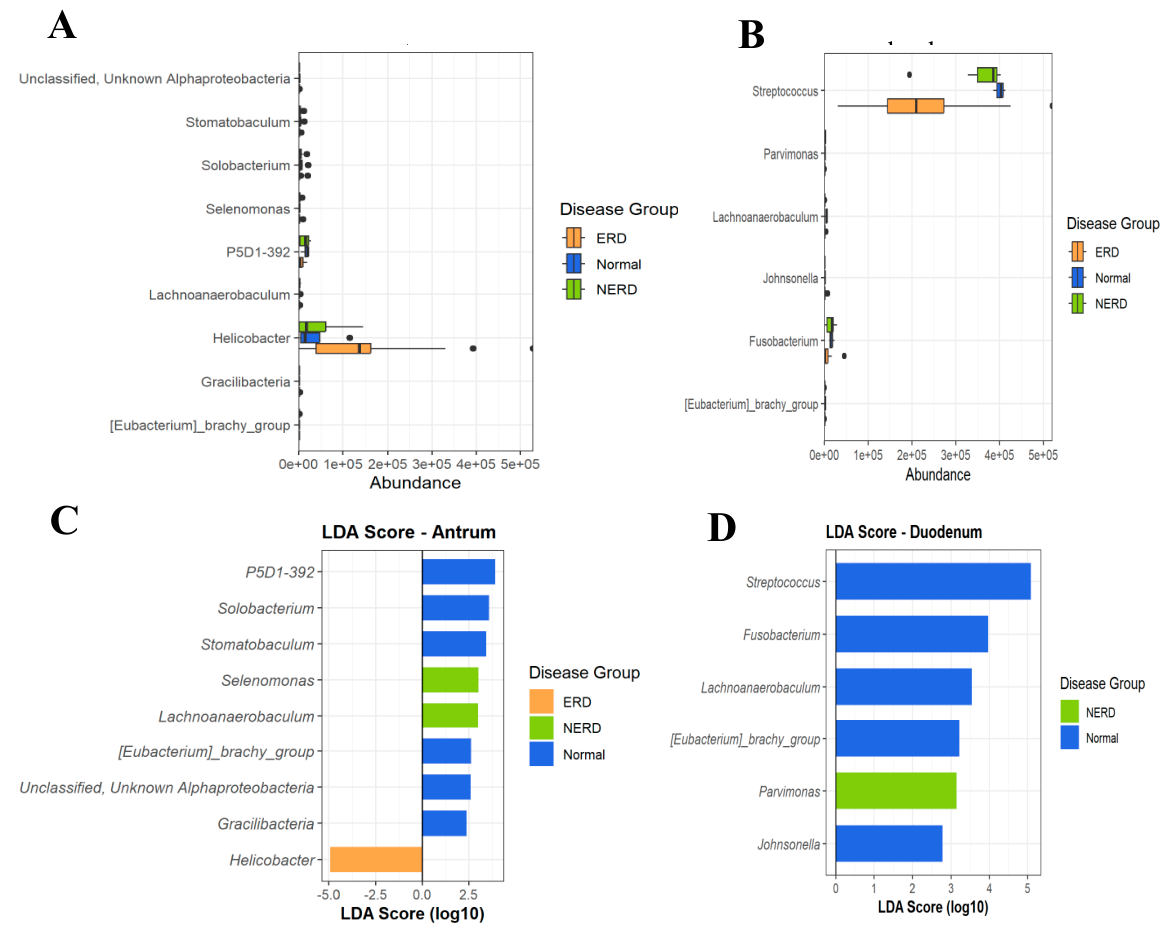 Preprints 209389 g004