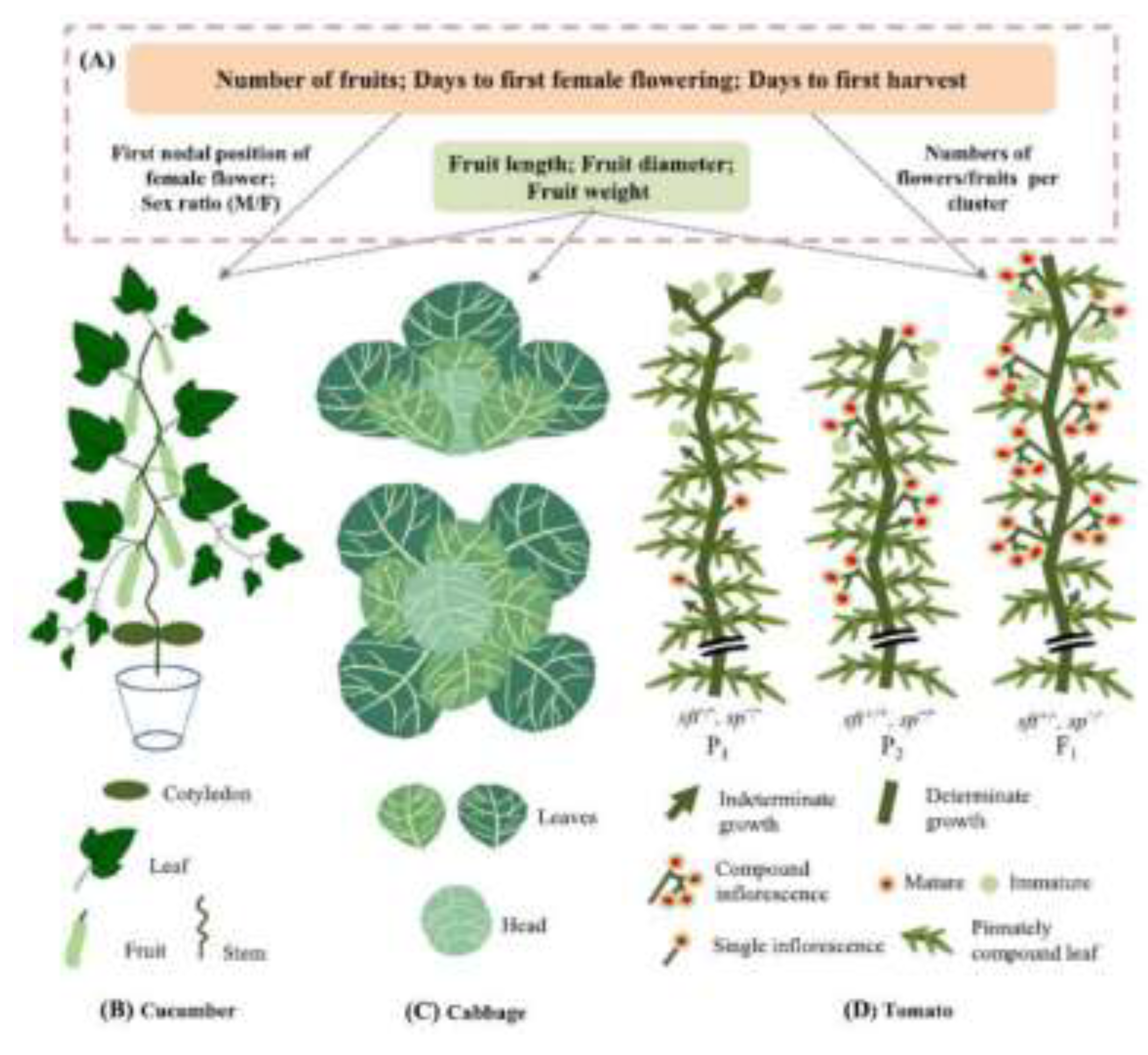 Preprints 208348 g001