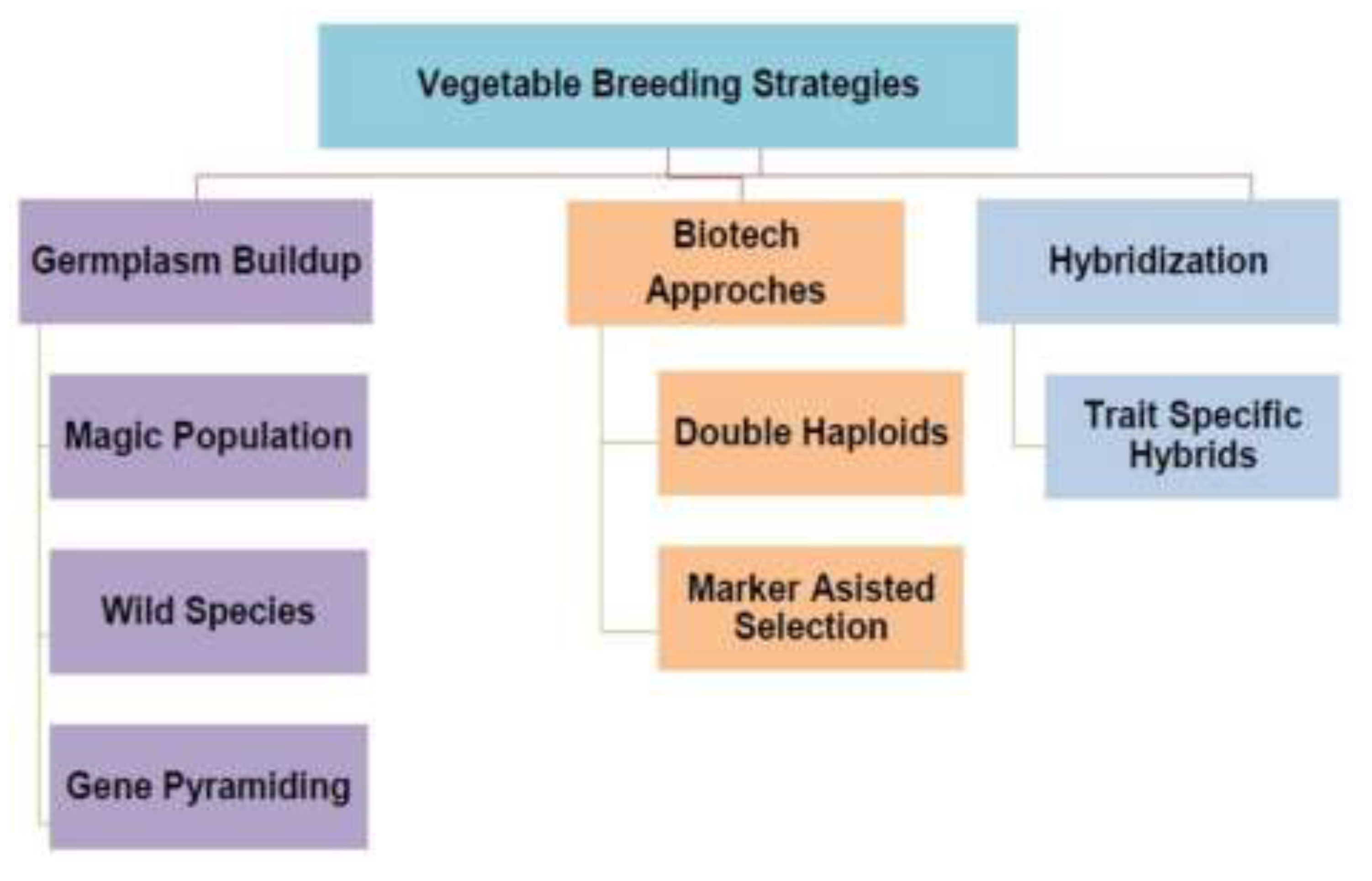 Preprints 208348 g002