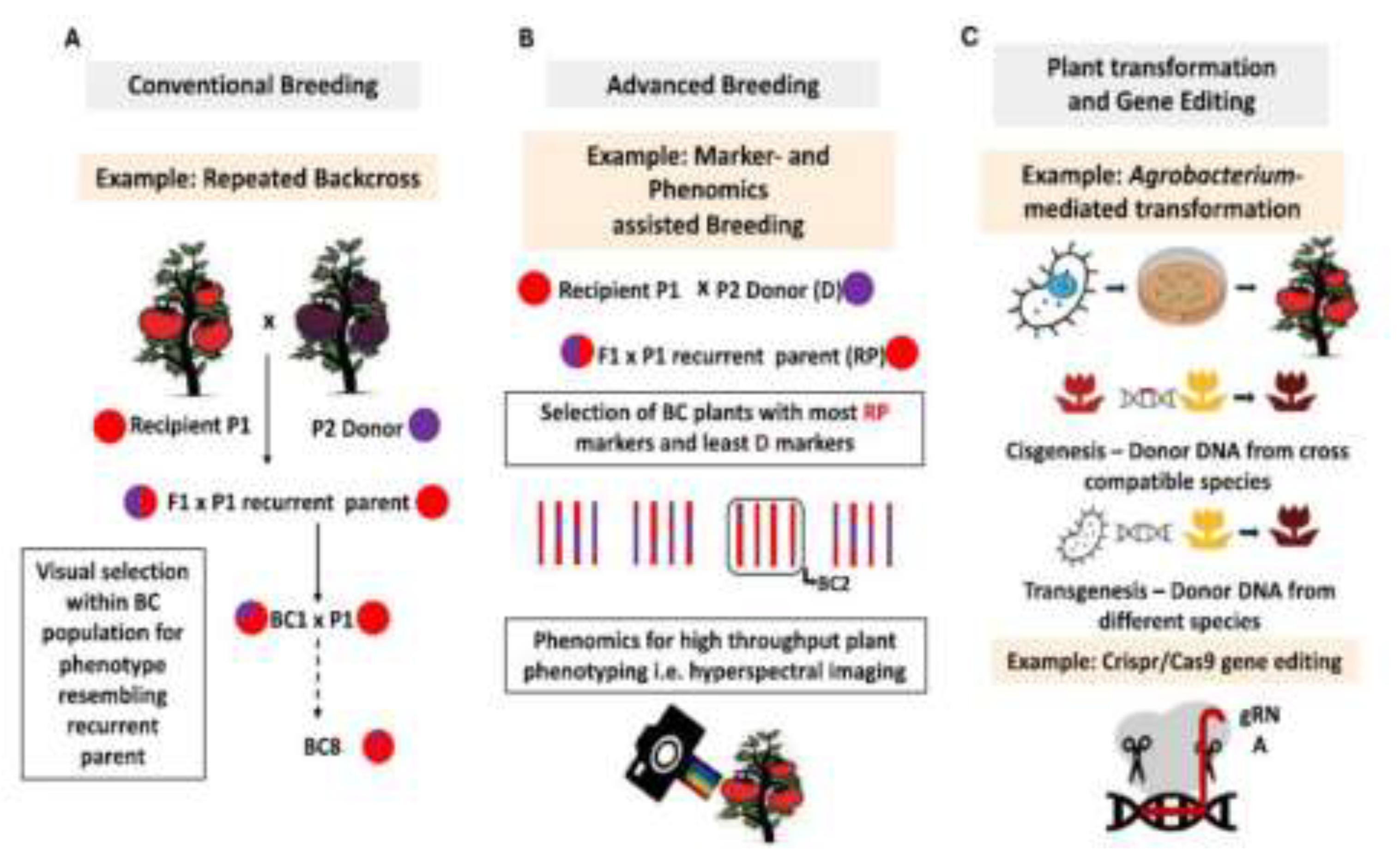 Preprints 208348 g003