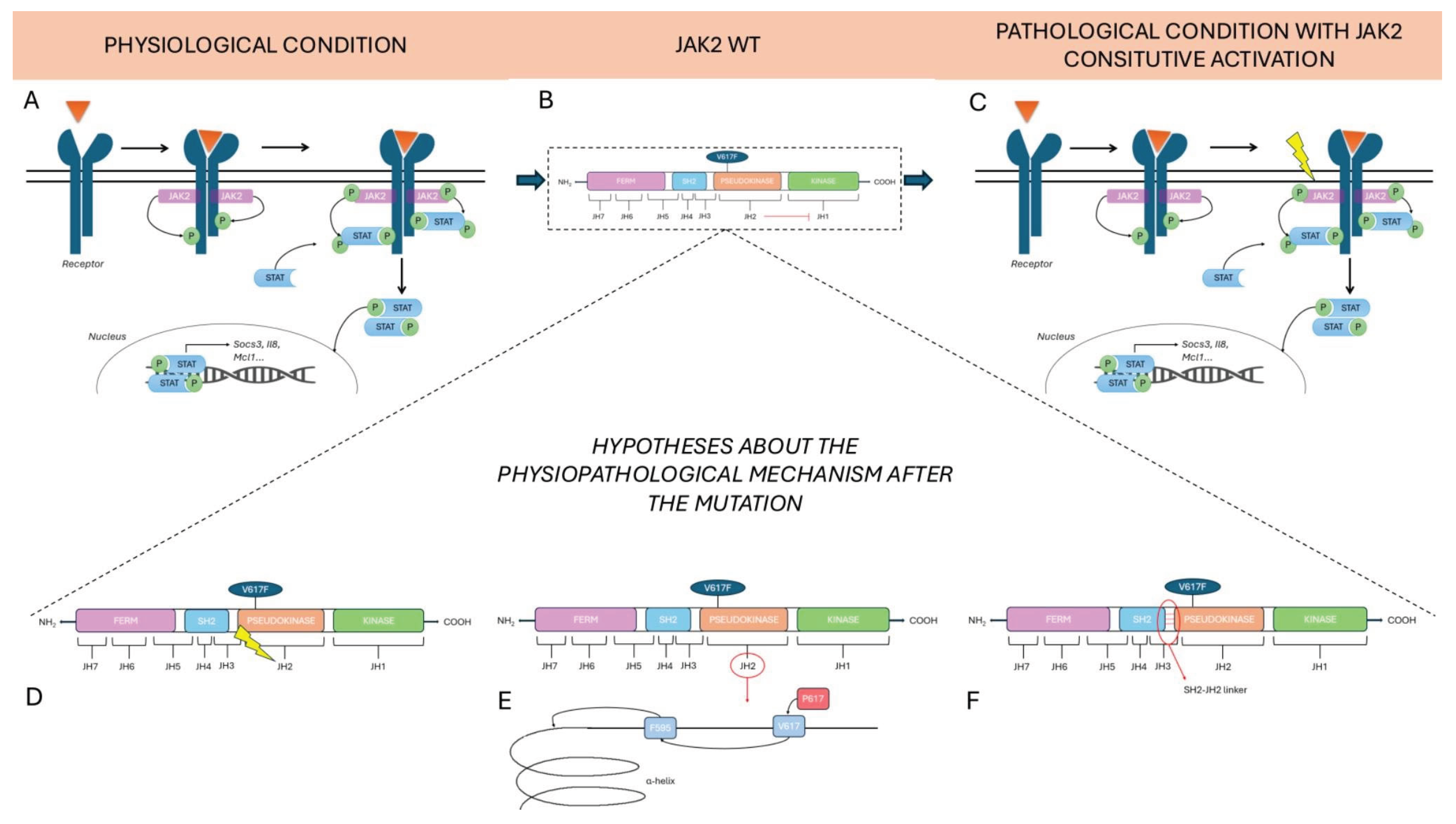 Preprints 175888 g002