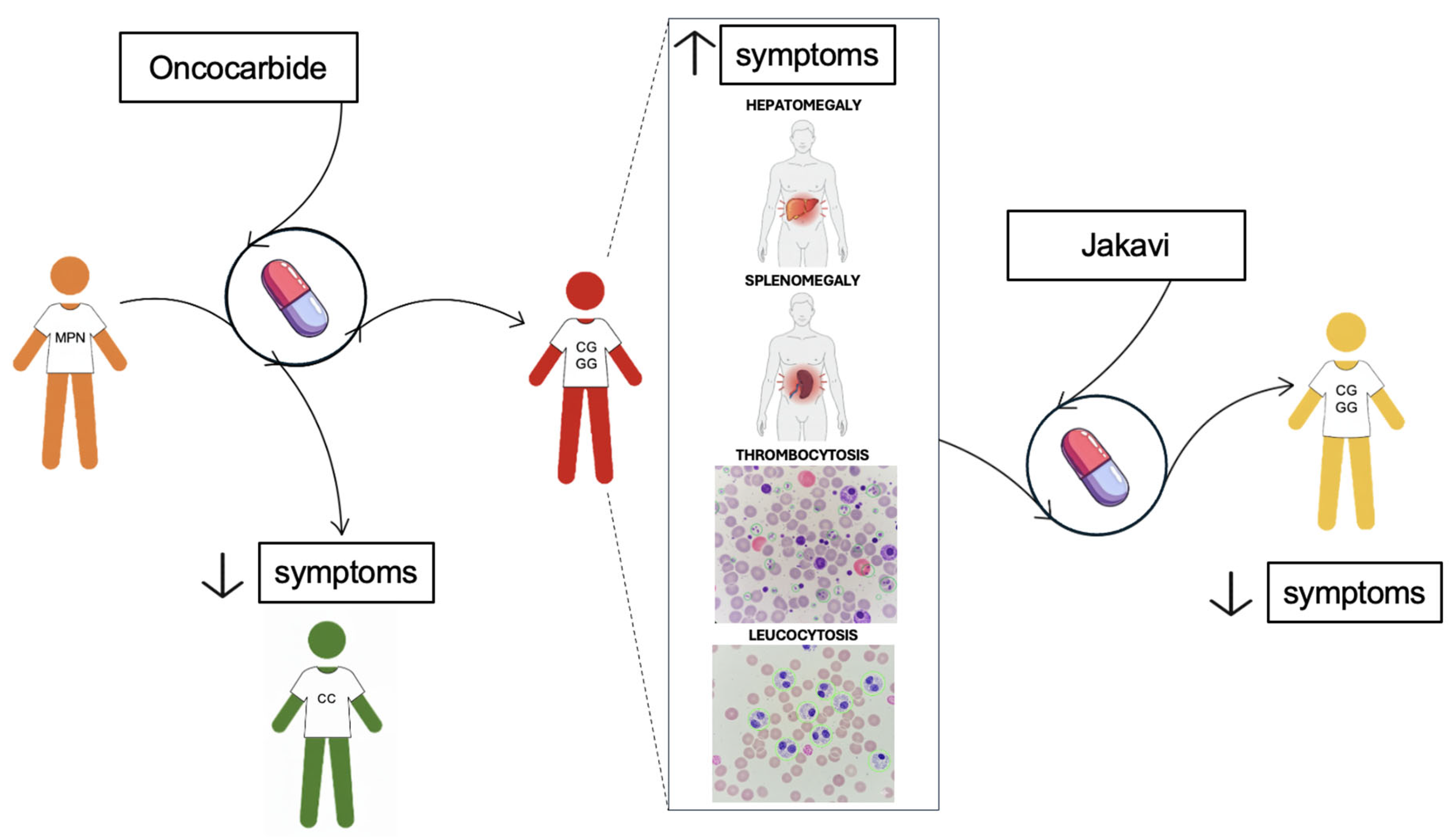Preprints 175888 g004
