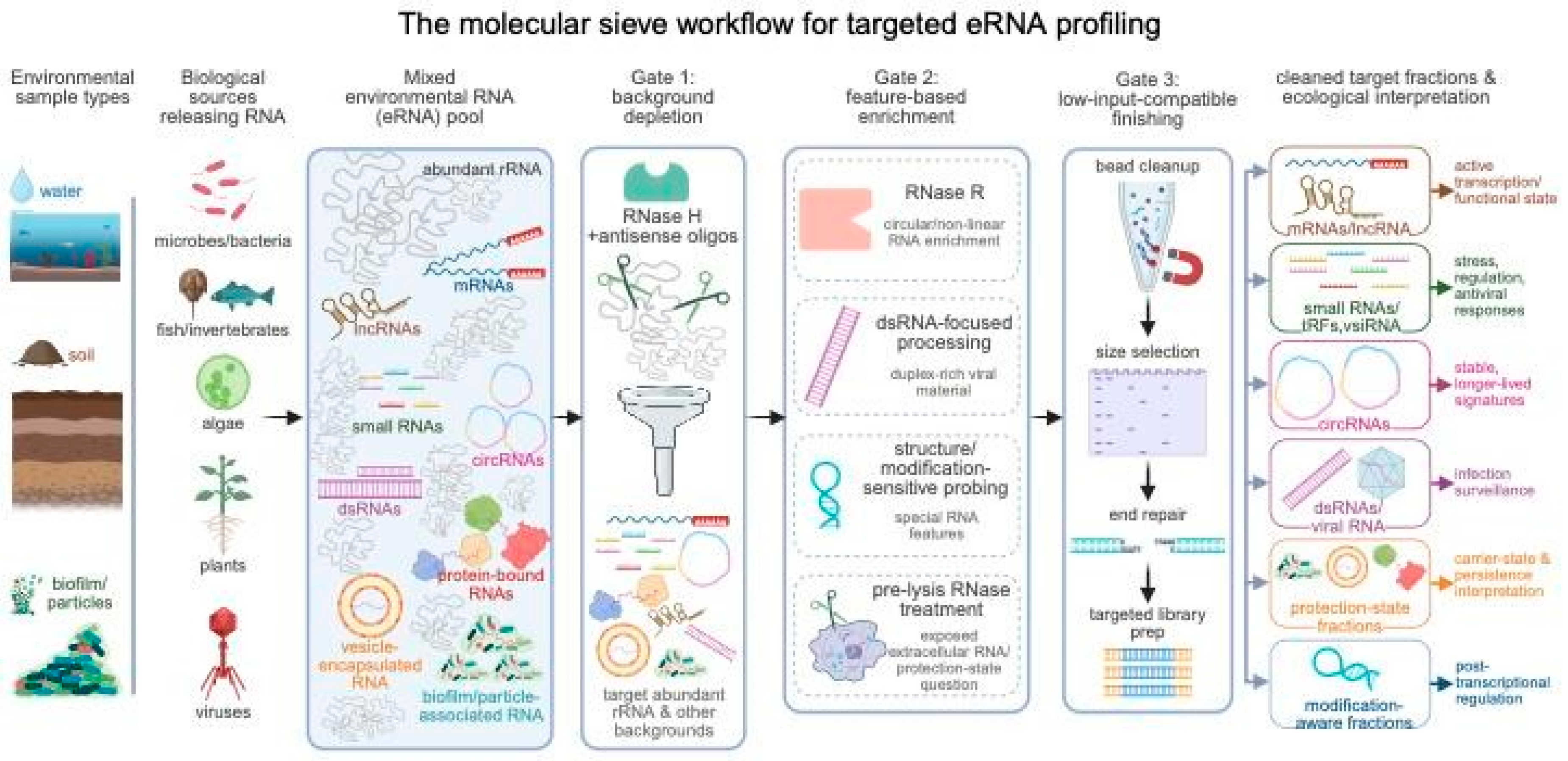 Preprints 215016 g001 Preprints 215016 g001