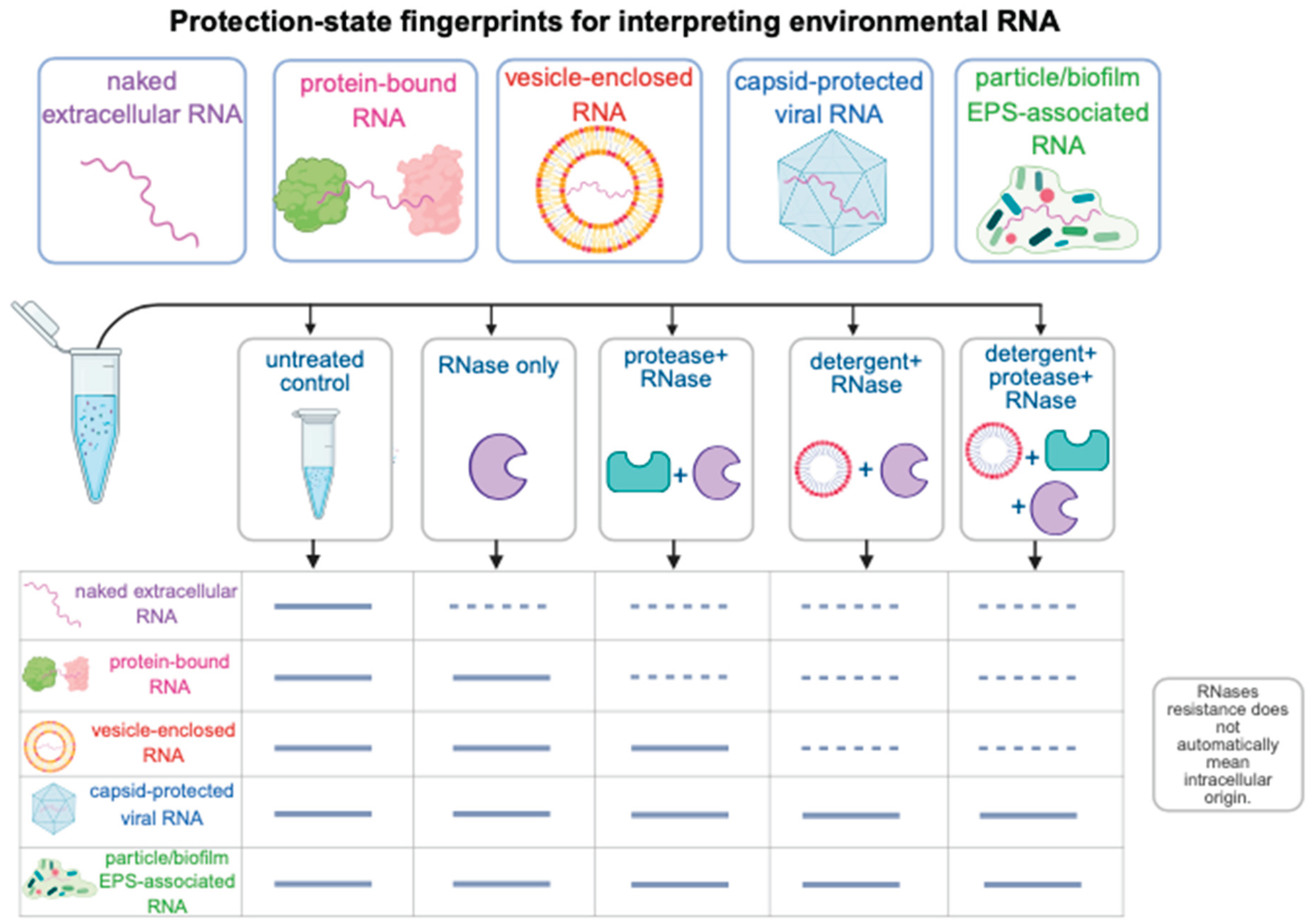 Preprints 215016 g002 Preprints 215016 g002