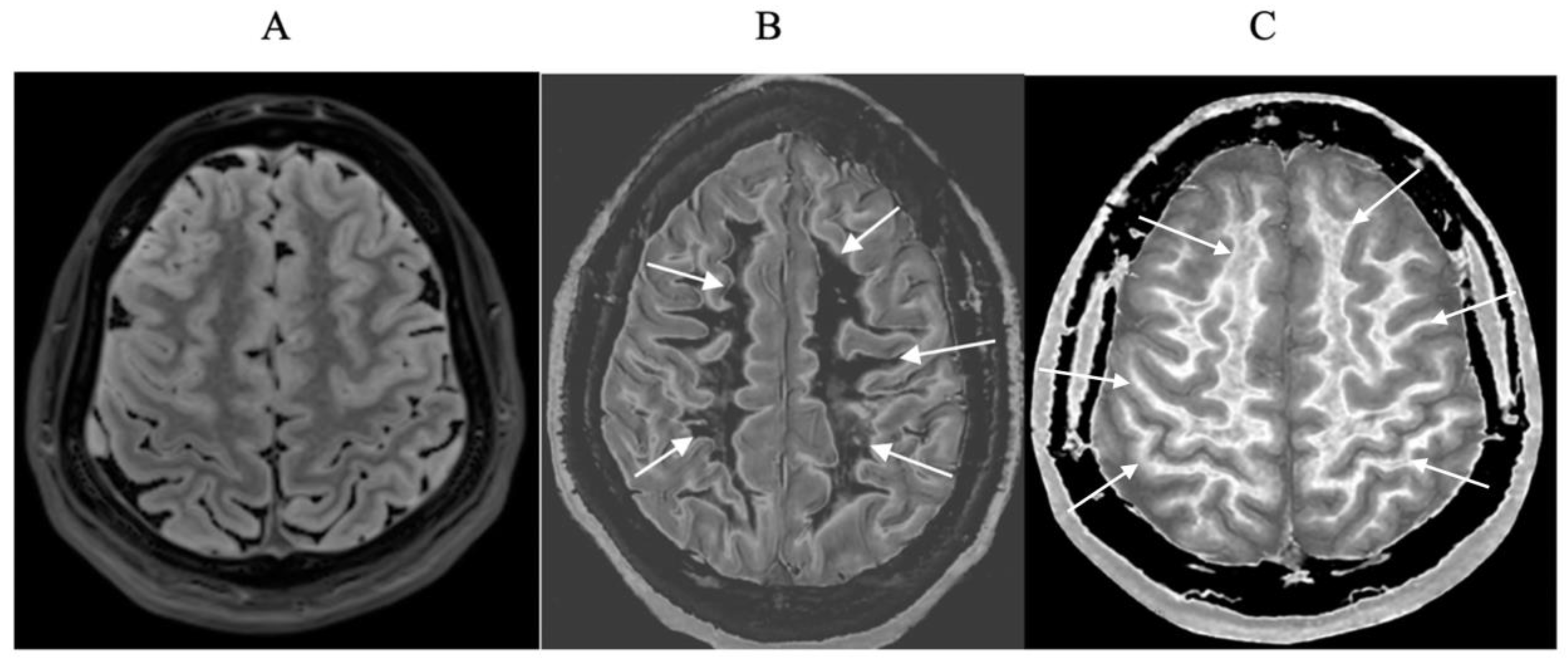 Preprints 168776 g001