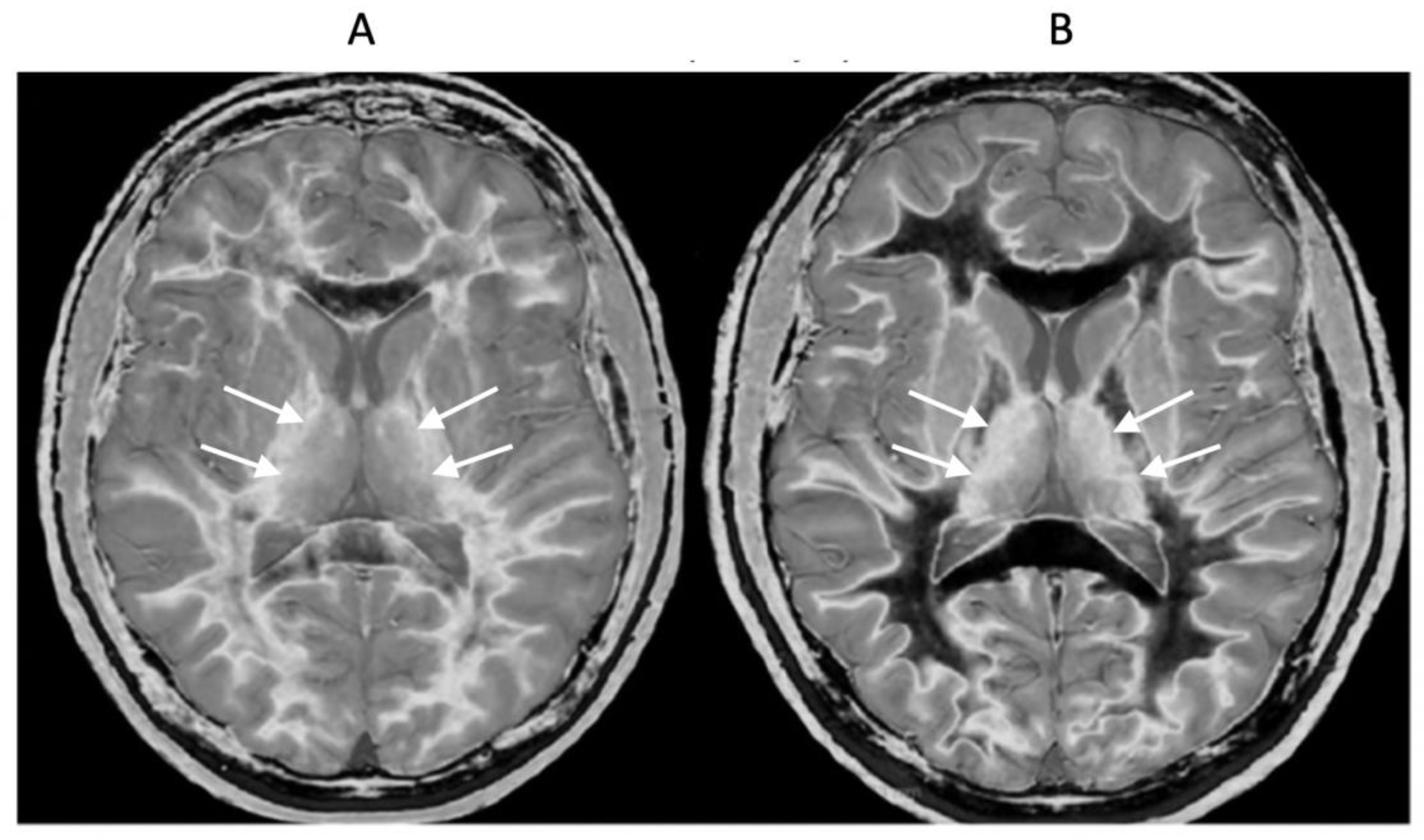Preprints 168776 g012