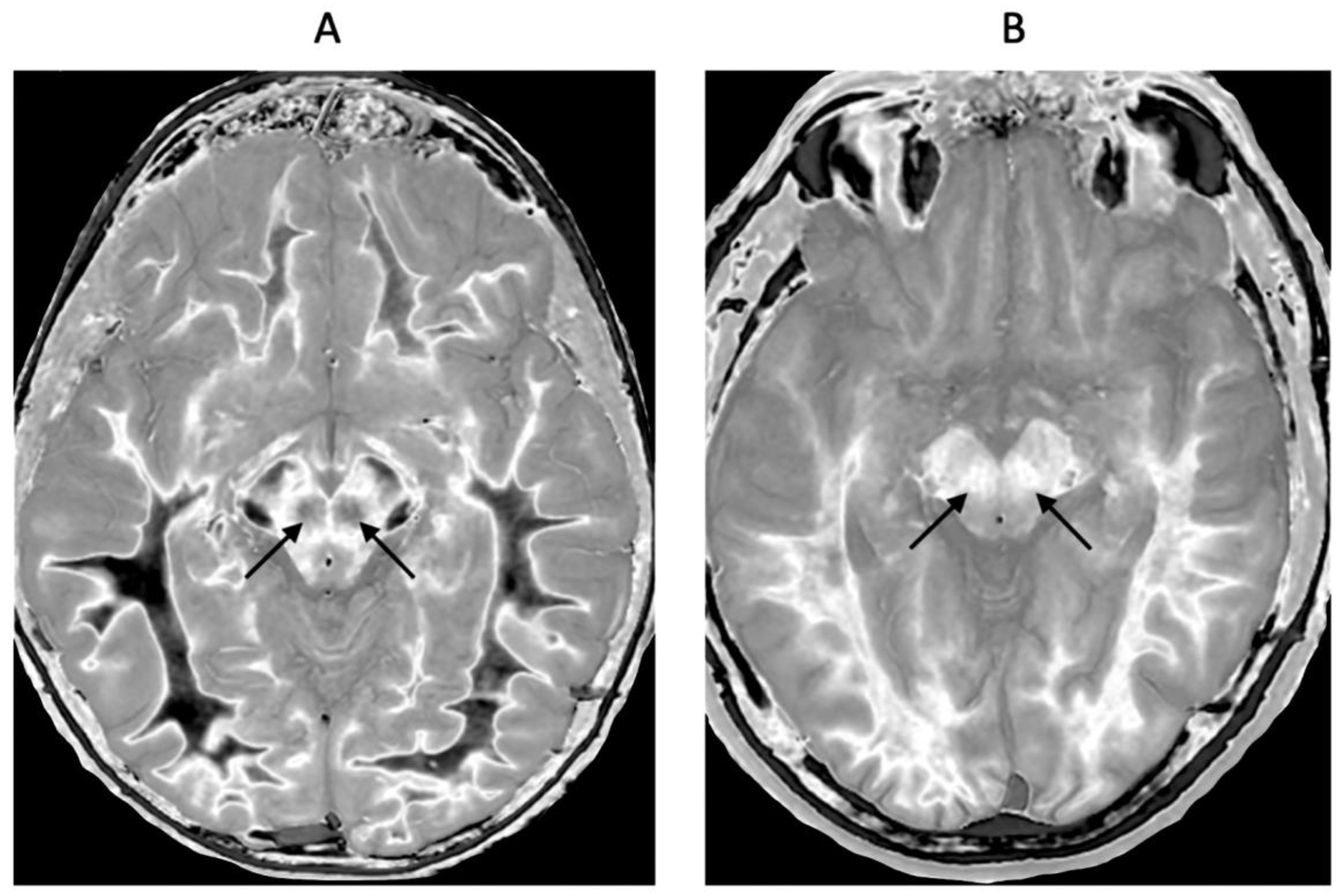 Preprints 168776 g014