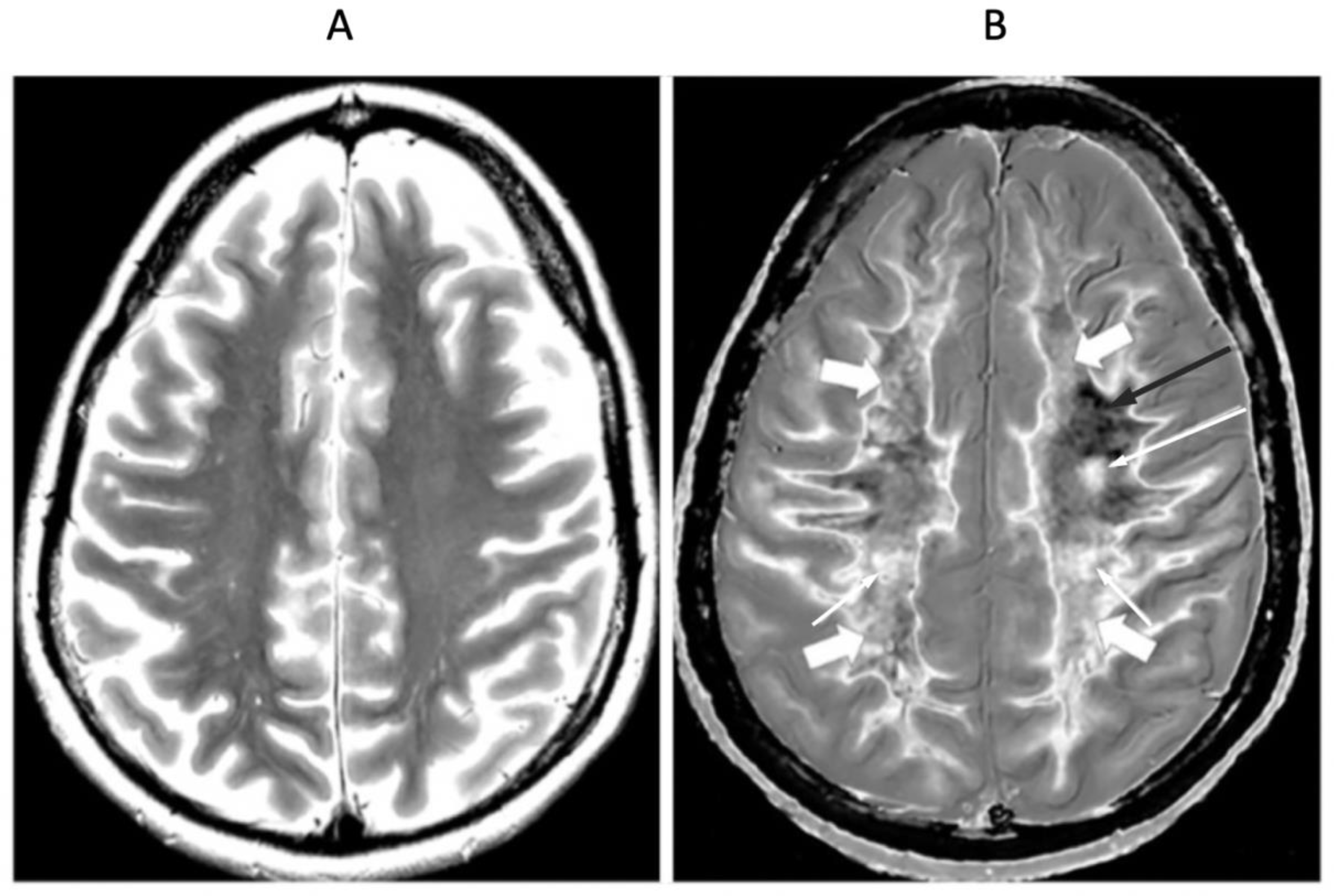 Preprints 168776 g015