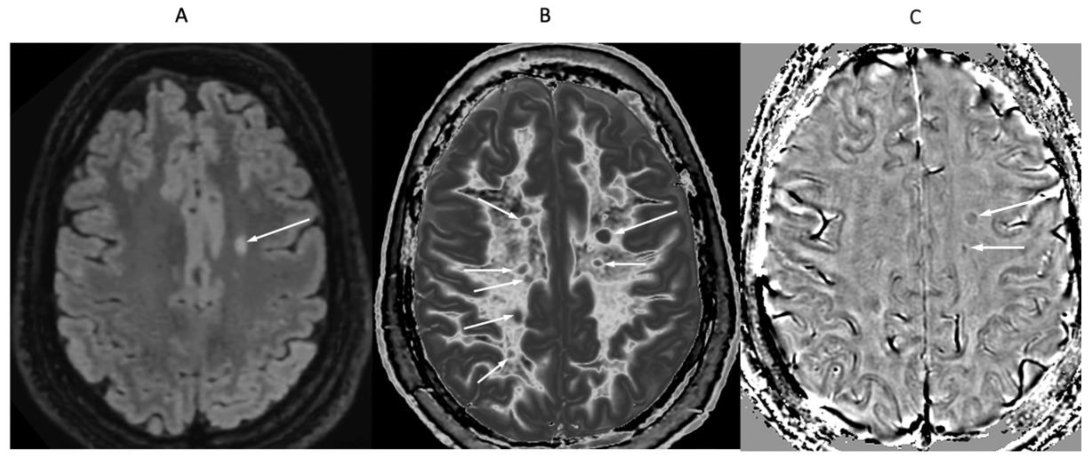 Preprints 168776 g016