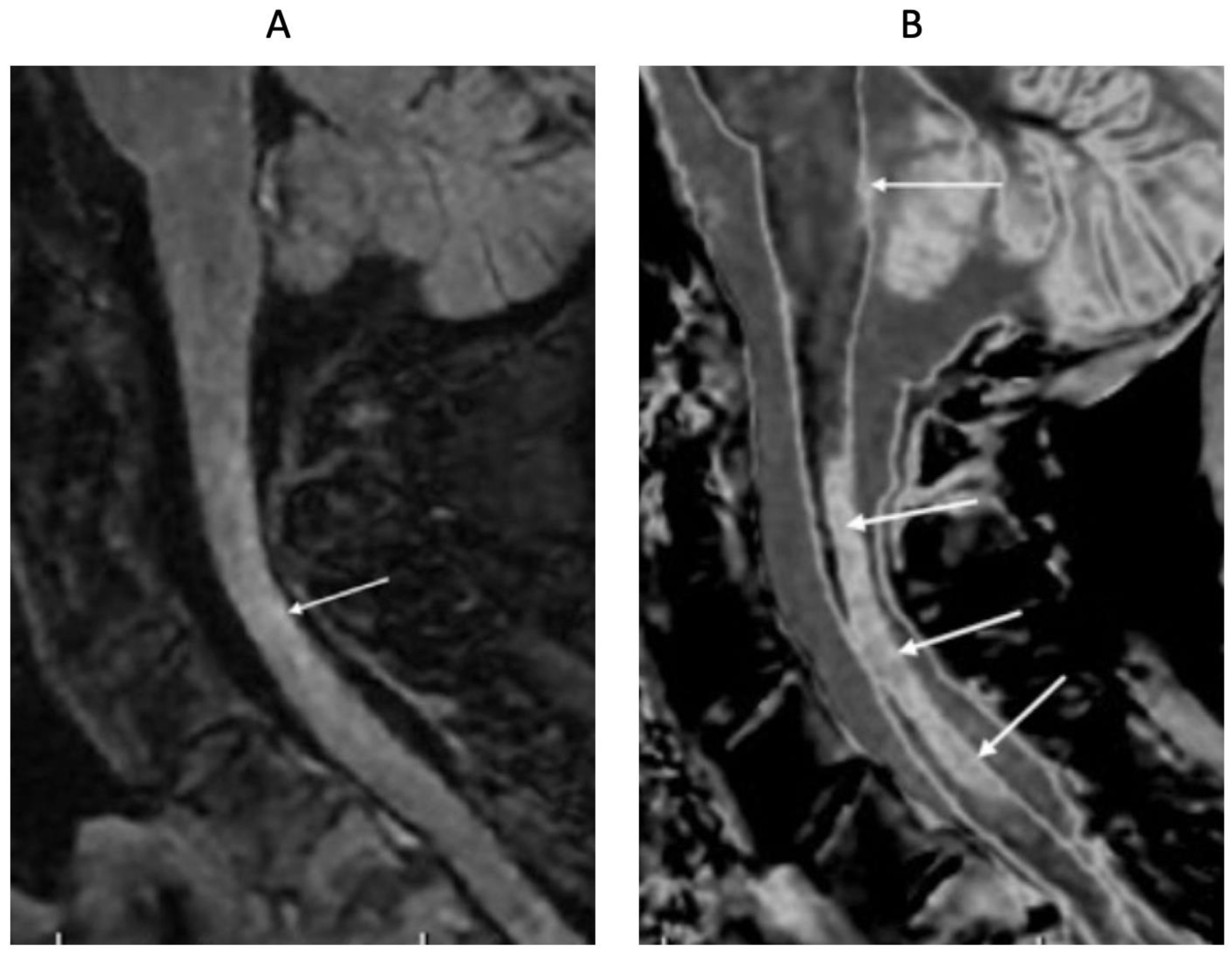 Preprints 168776 g018