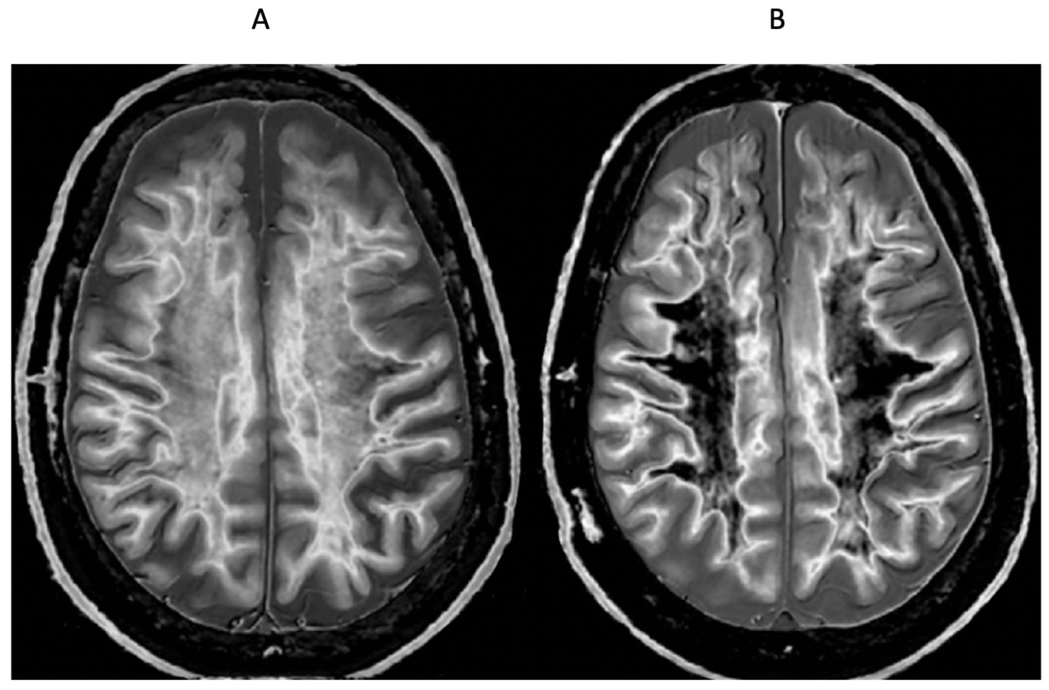 Preprints 168776 g019