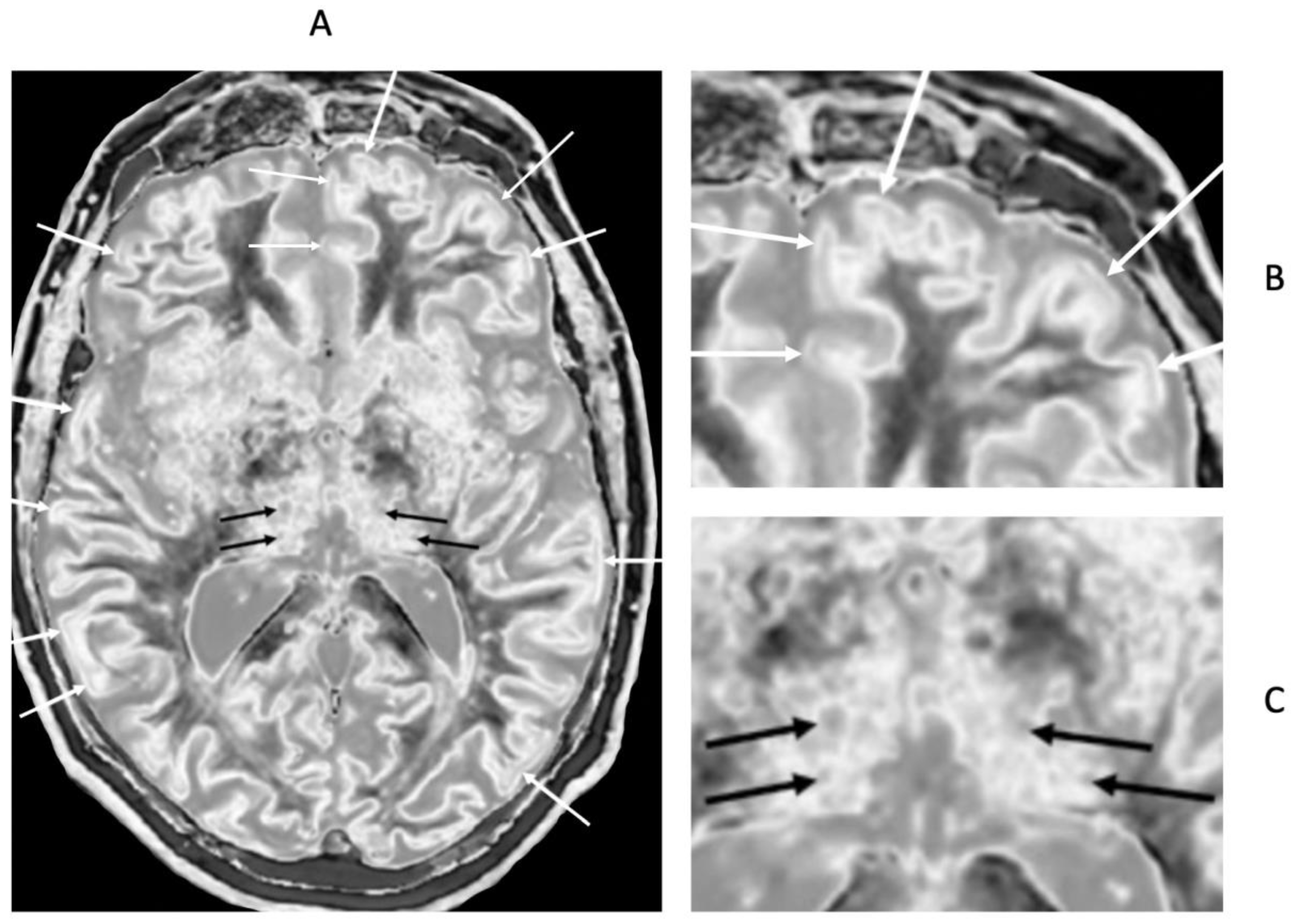 Preprints 168776 g020