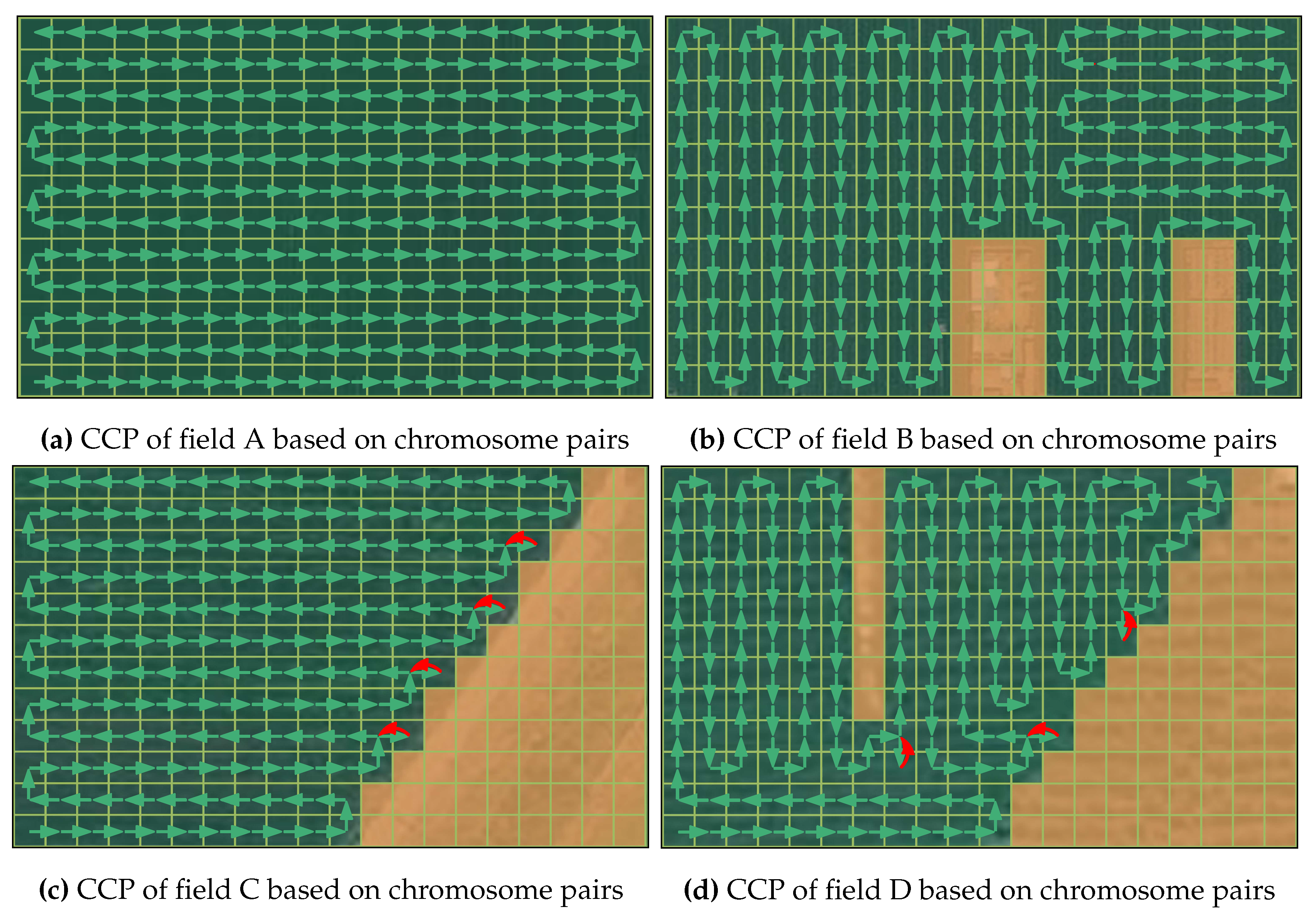 Preprints 73982 g017