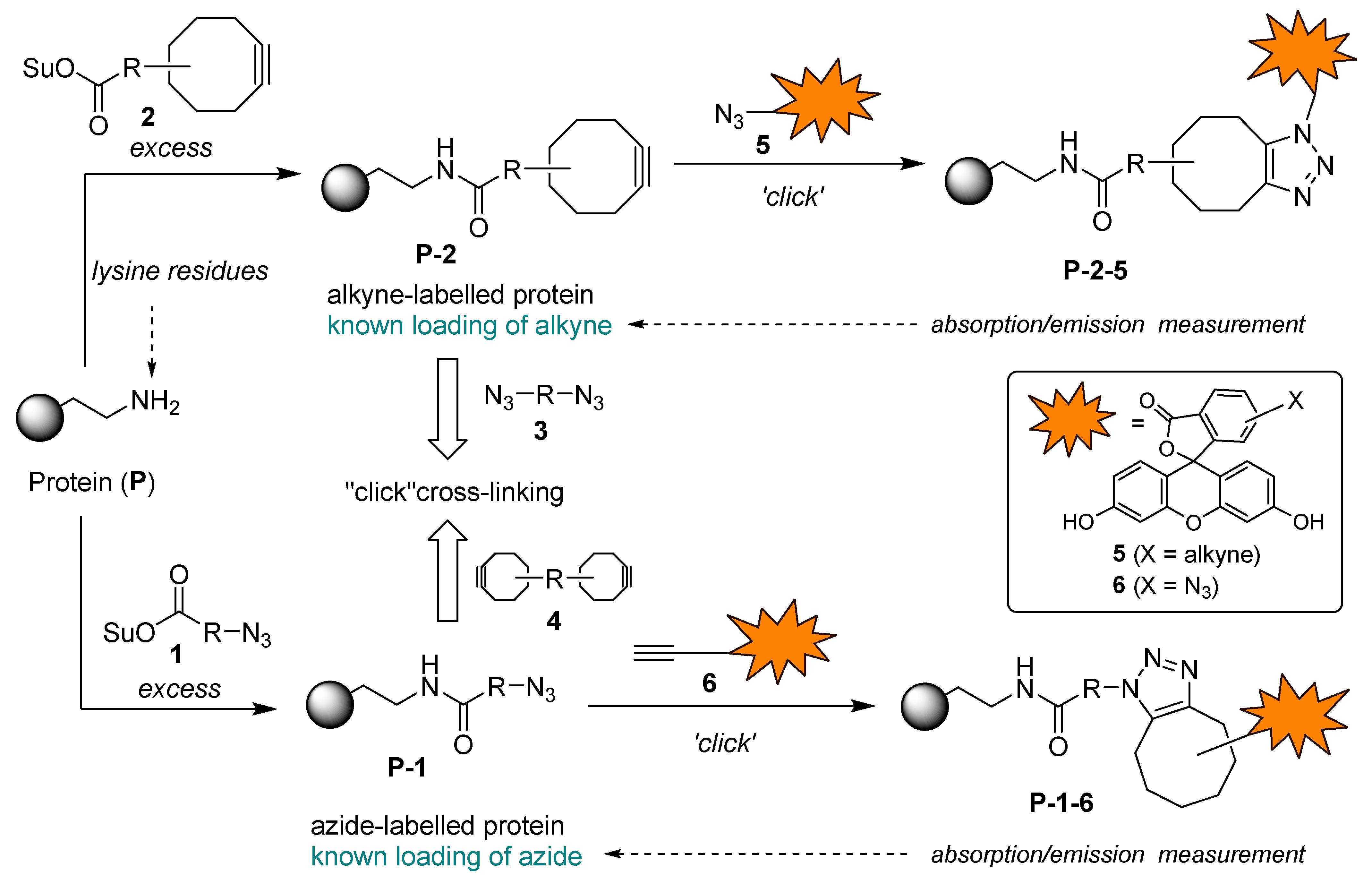 Preprints 184790 g001