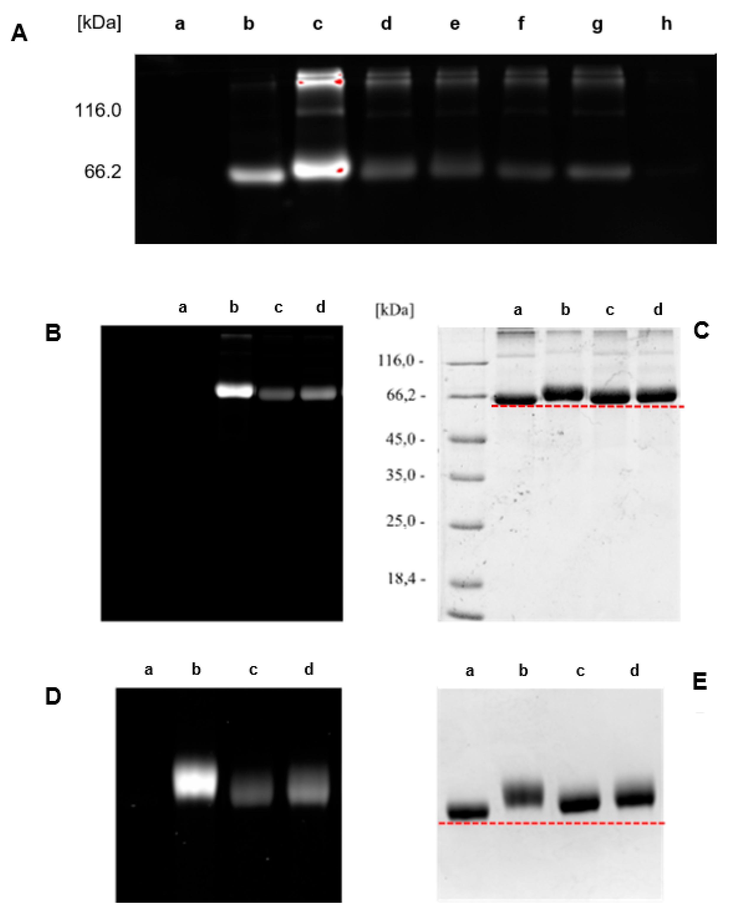 Preprints 184790 g003