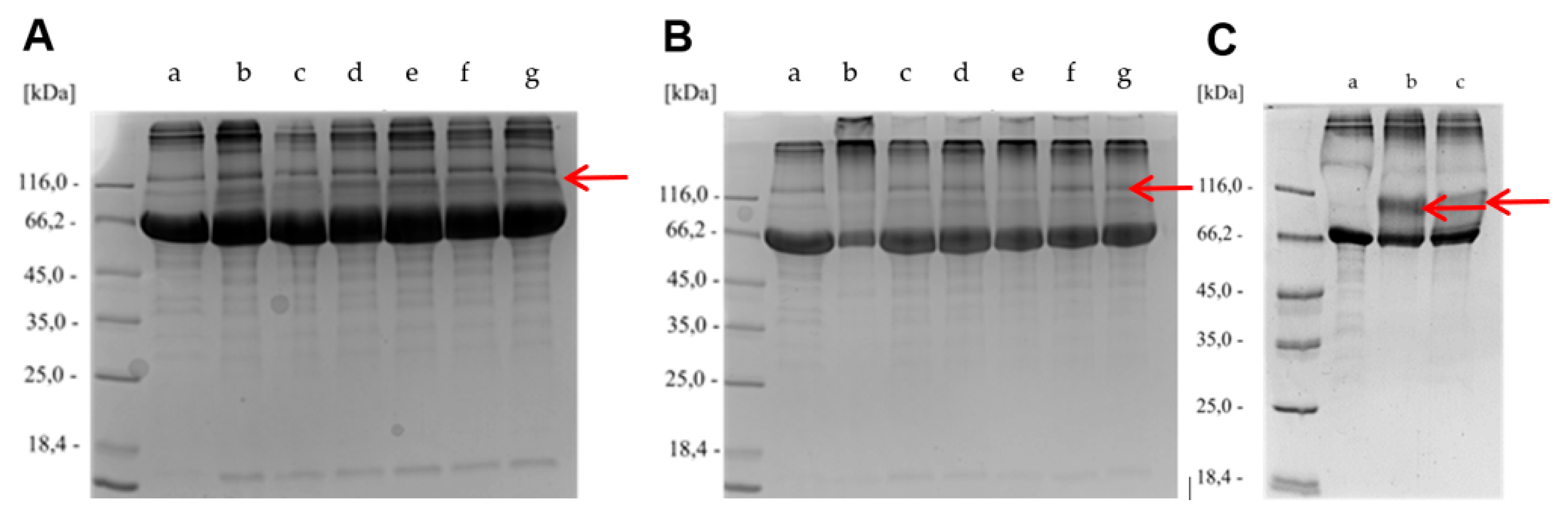 Preprints 184790 g004