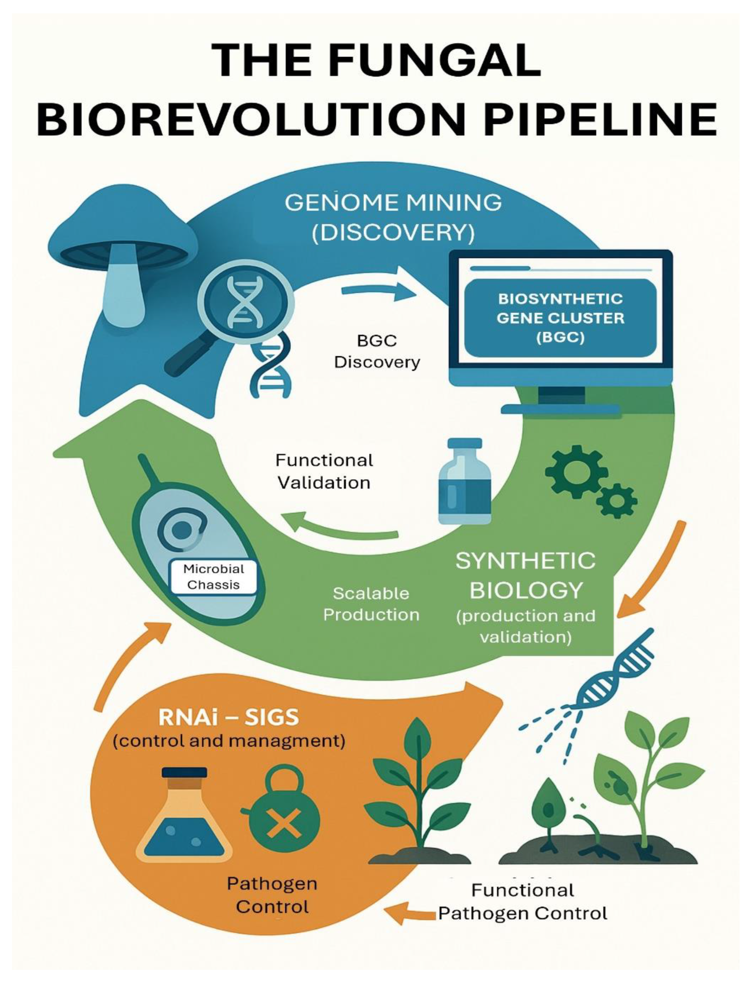 Preprints 170819 g001