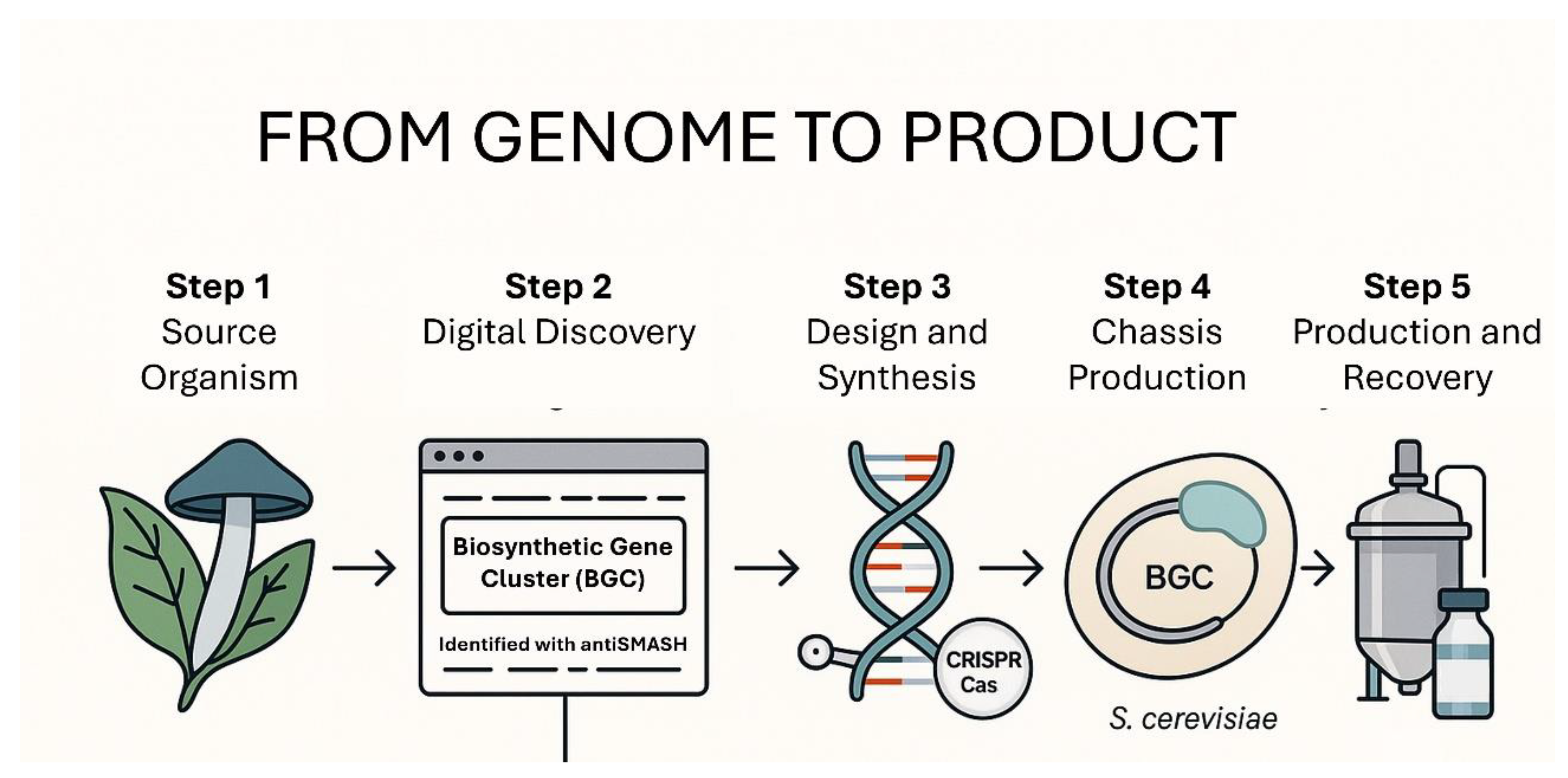 Preprints 170819 g002