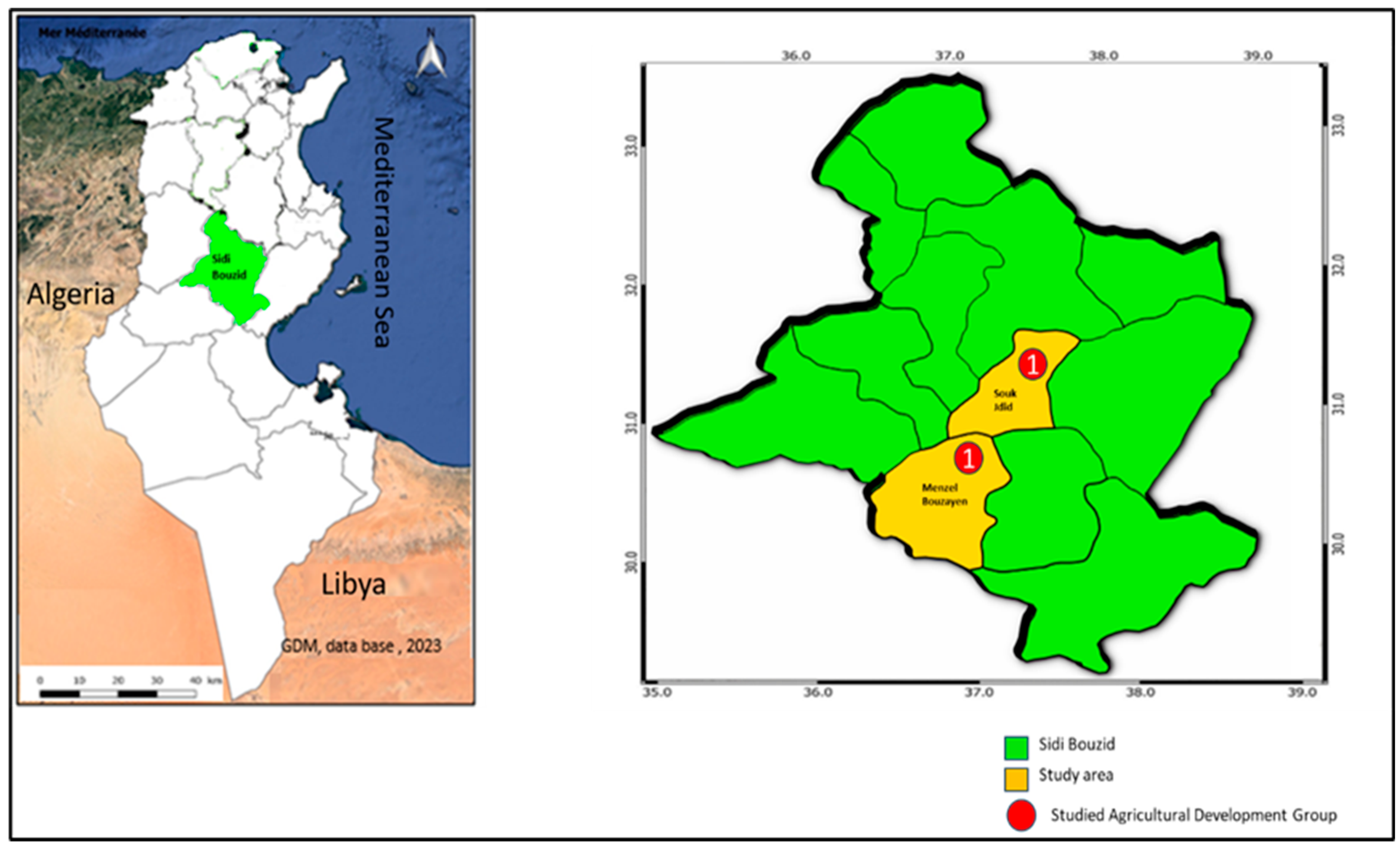 Preprints 145581 g001