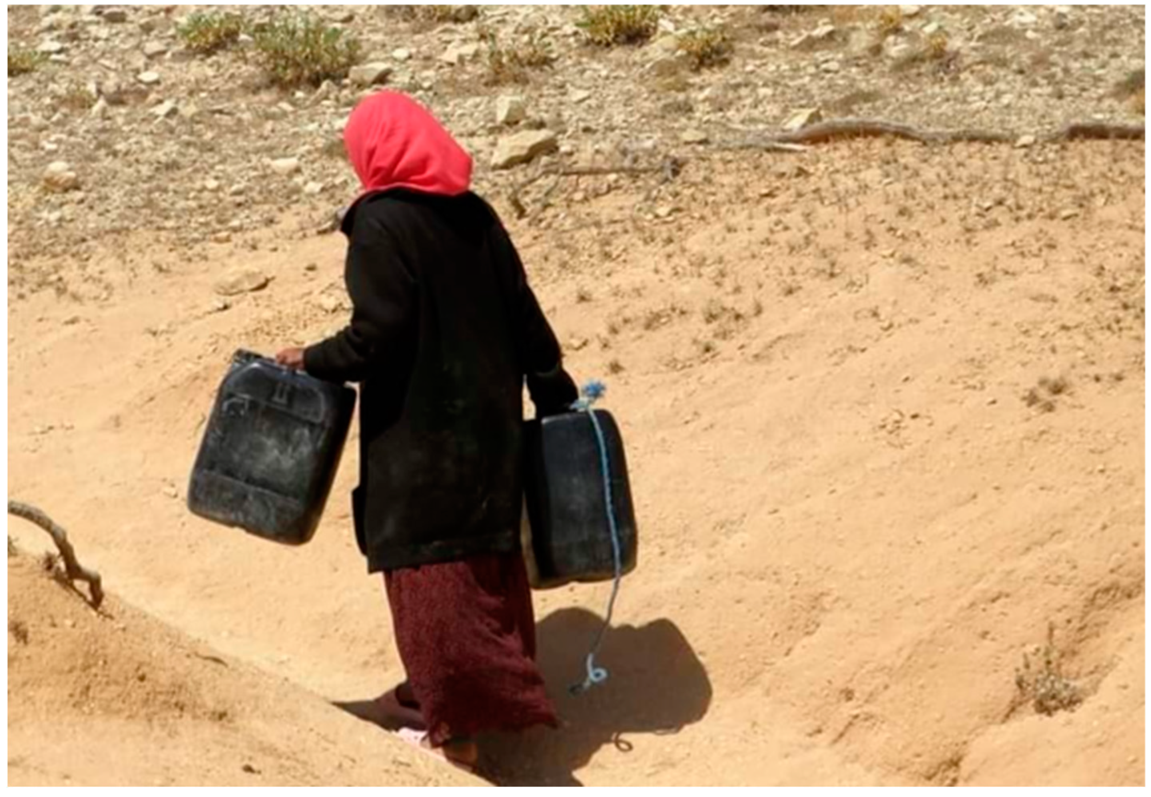 Preprints 145581 g004