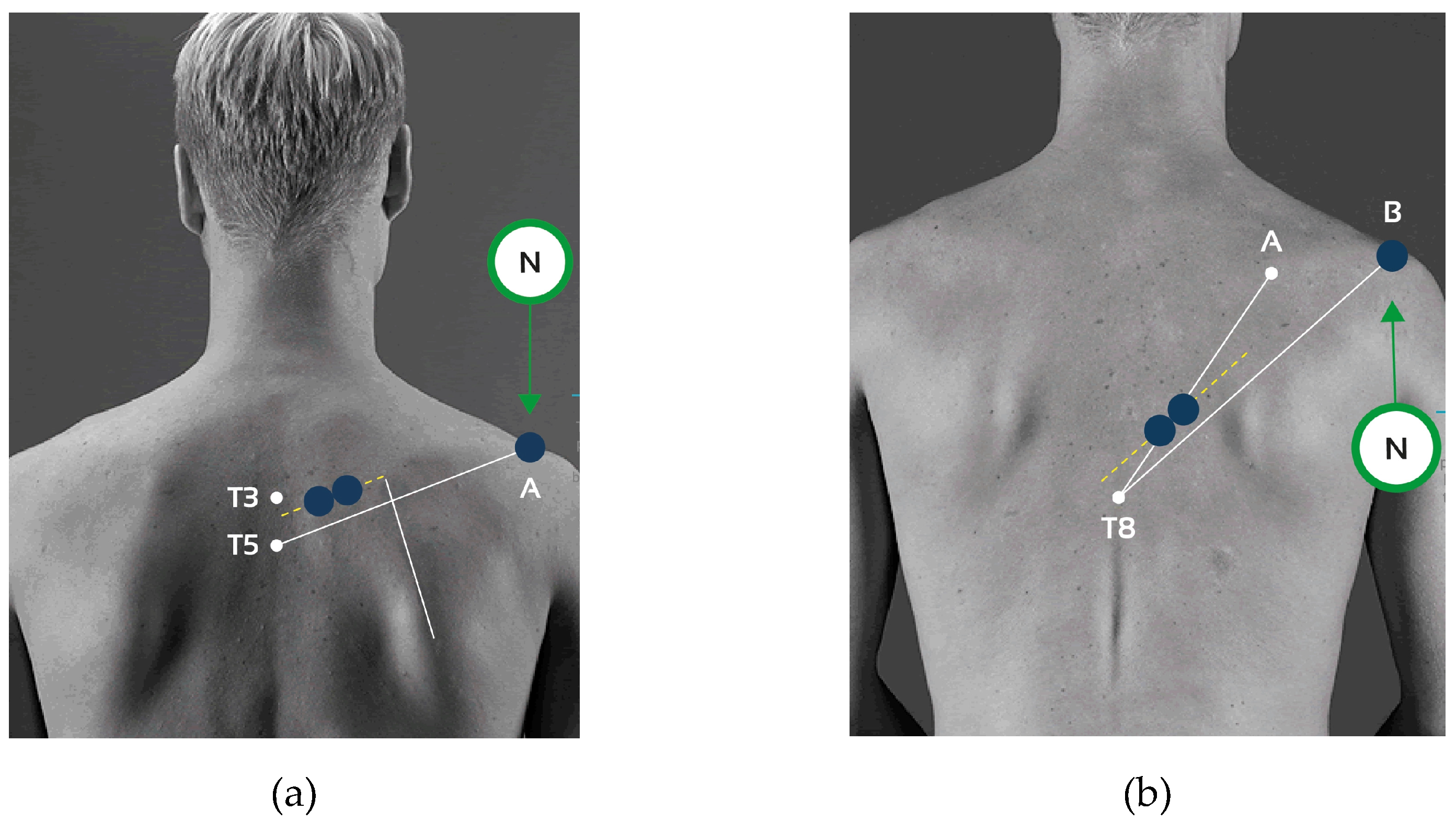 Preprints 156542 g001