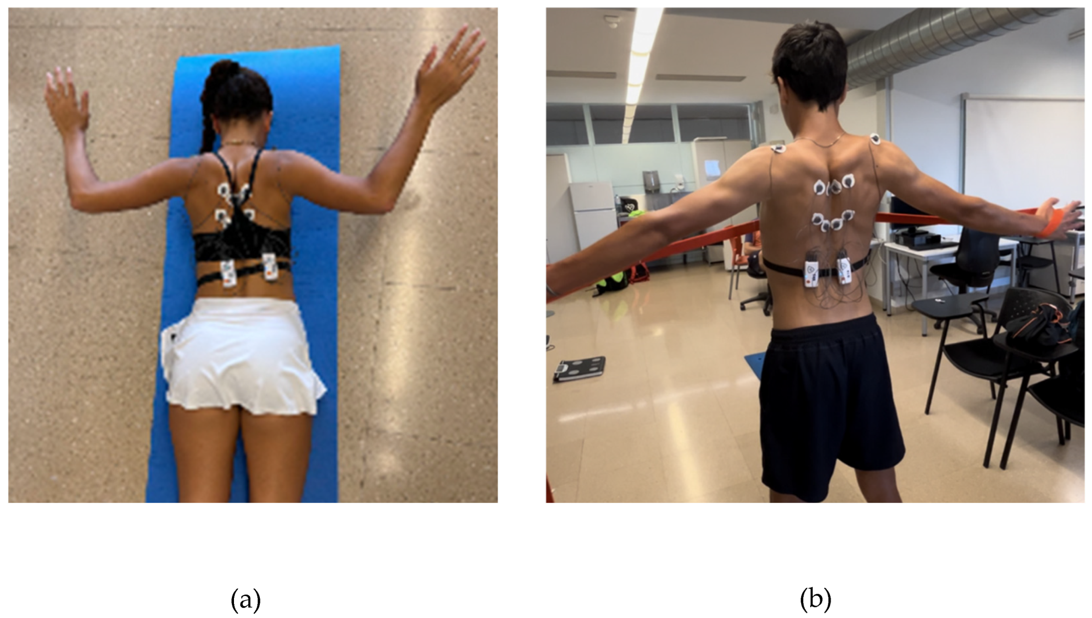 Preprints 156542 g002