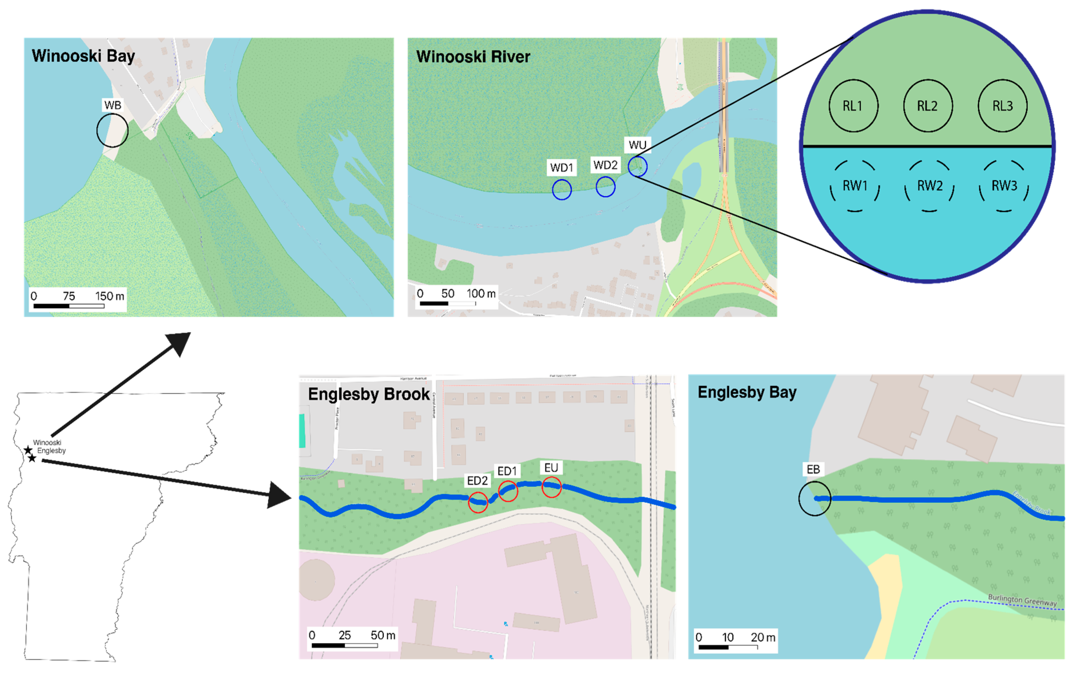 Preprints 166308 g001