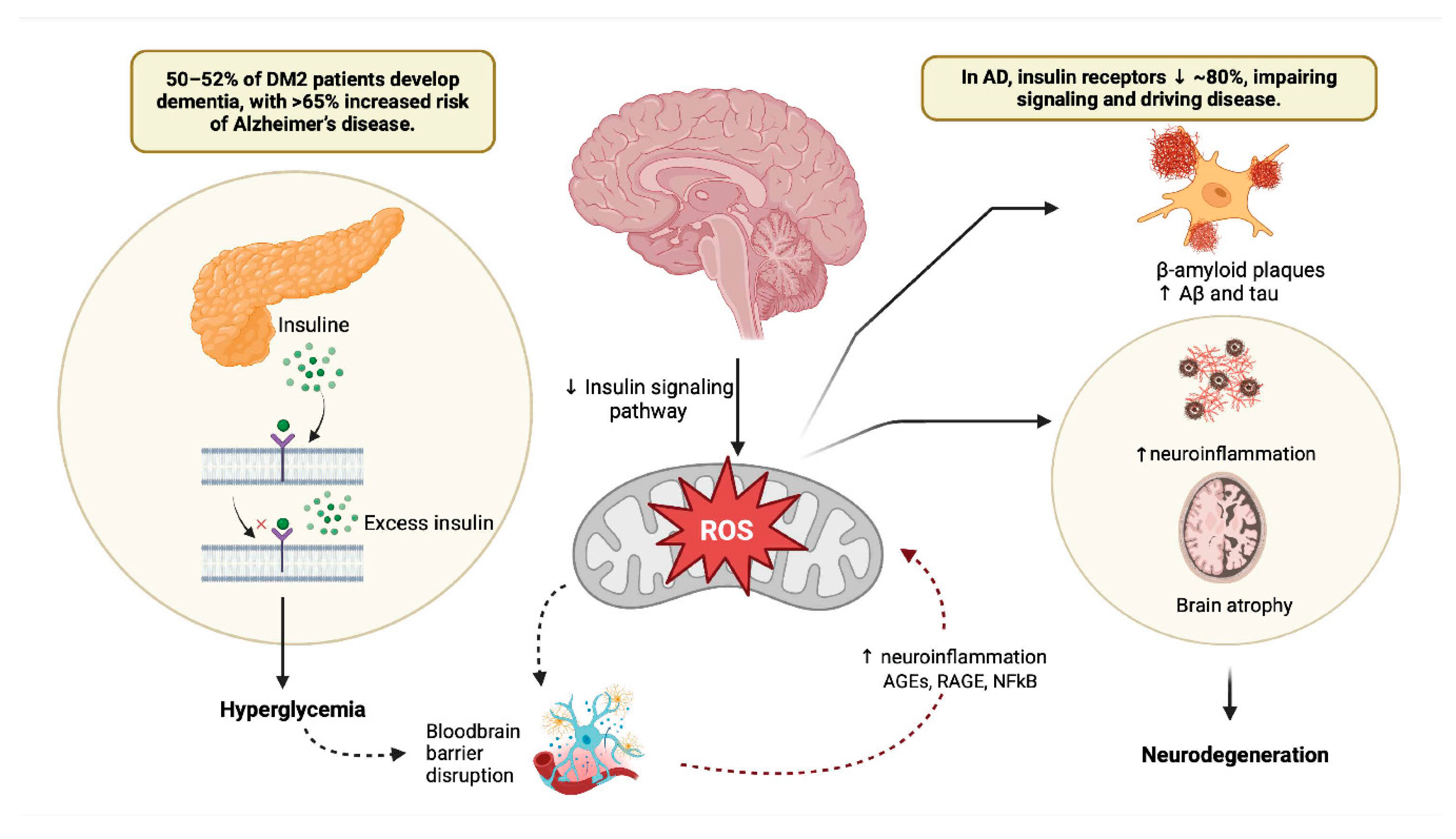 Preprints 200060 g001