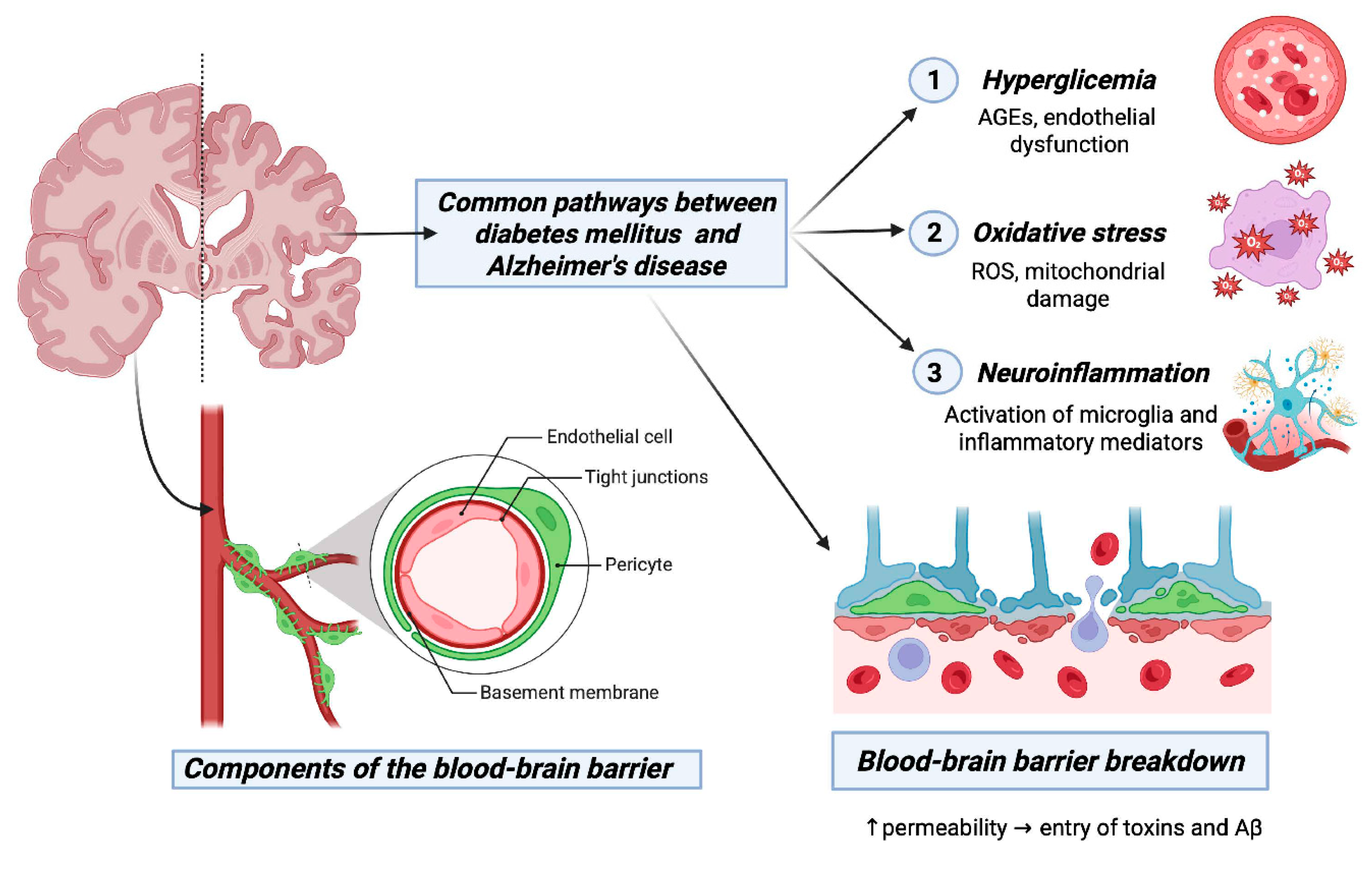 Preprints 200060 g002