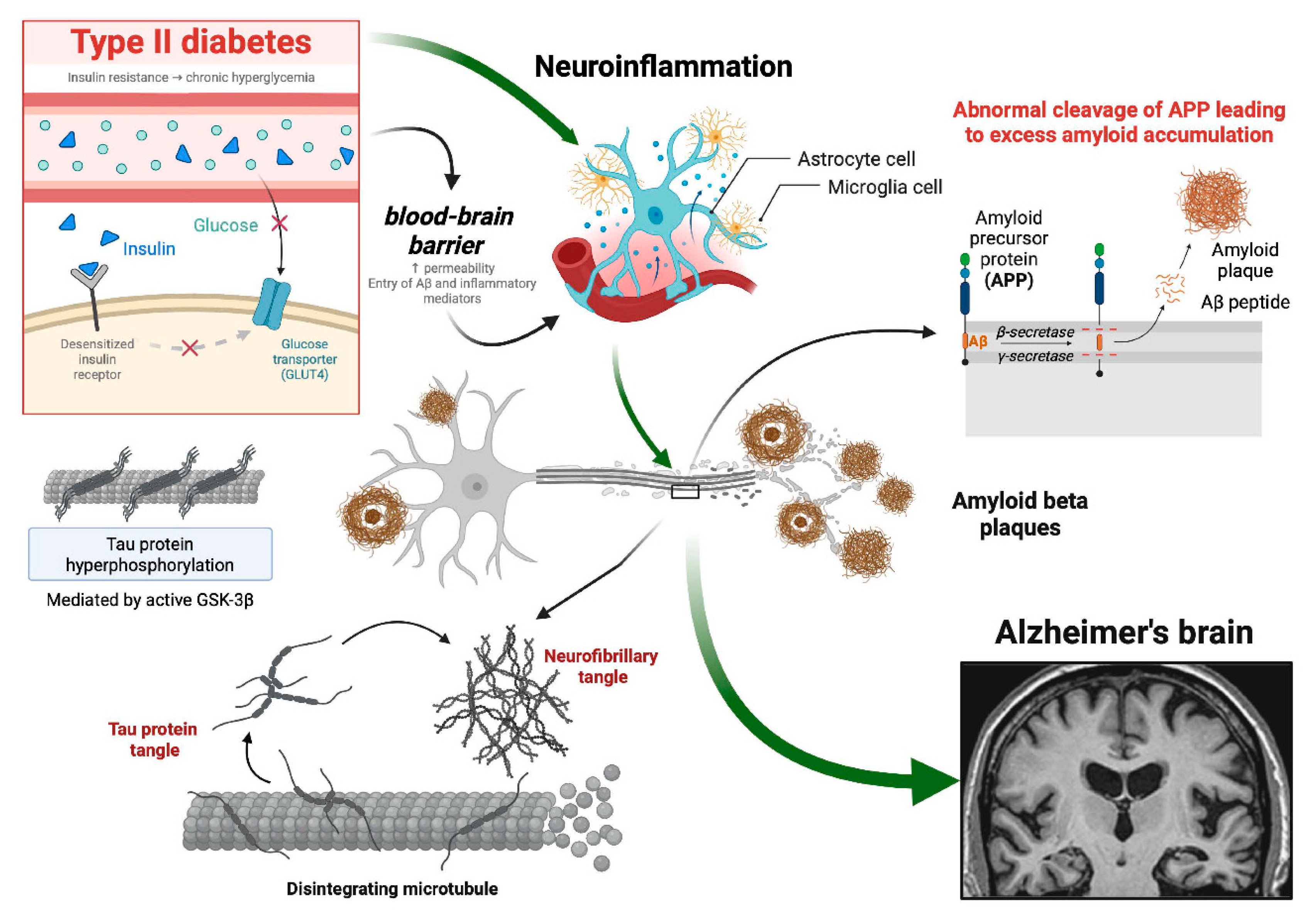 Preprints 200060 g003